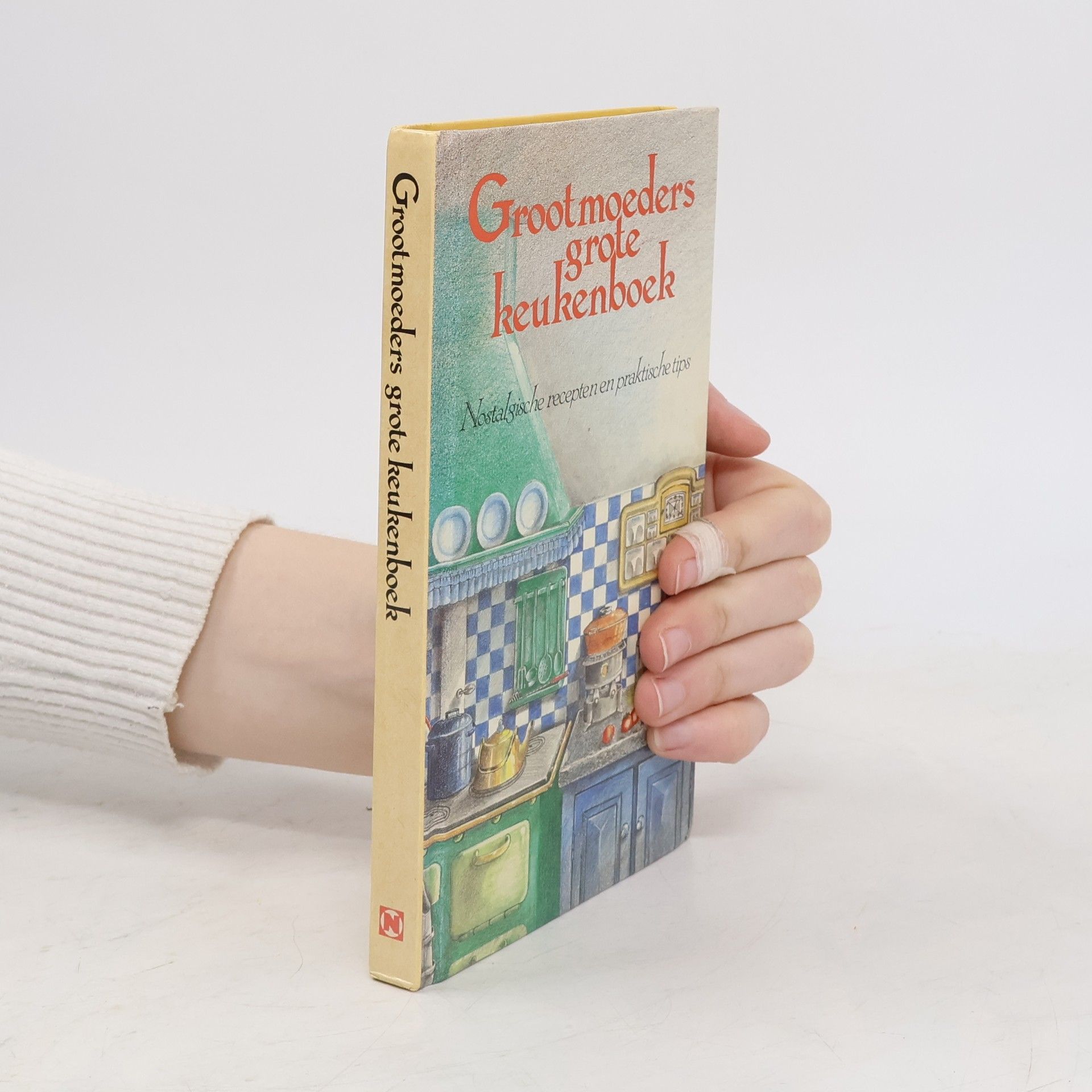Autorenkollektiv Grootmoeders grote keukenboek