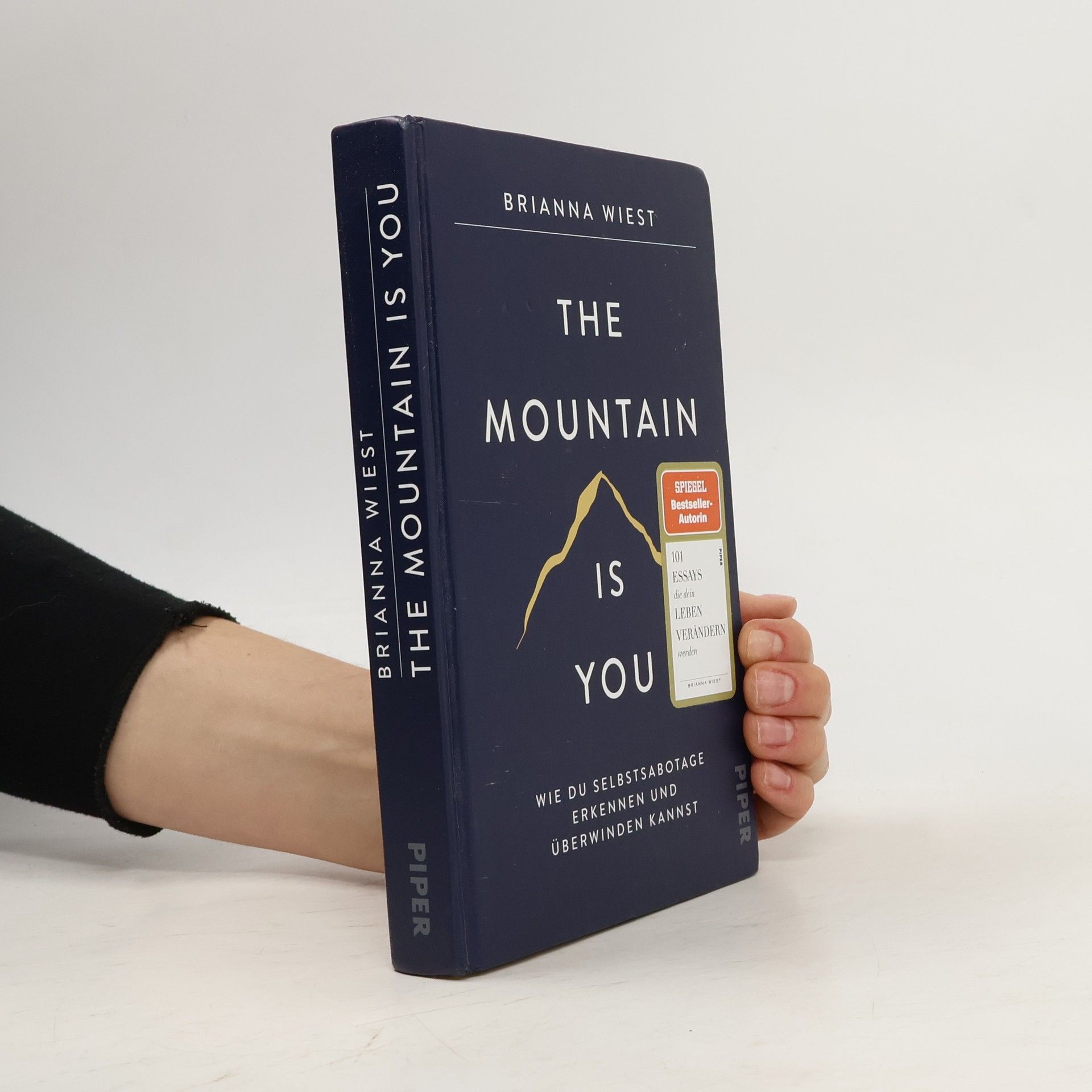 Brianna Wiest The Mountain Is You