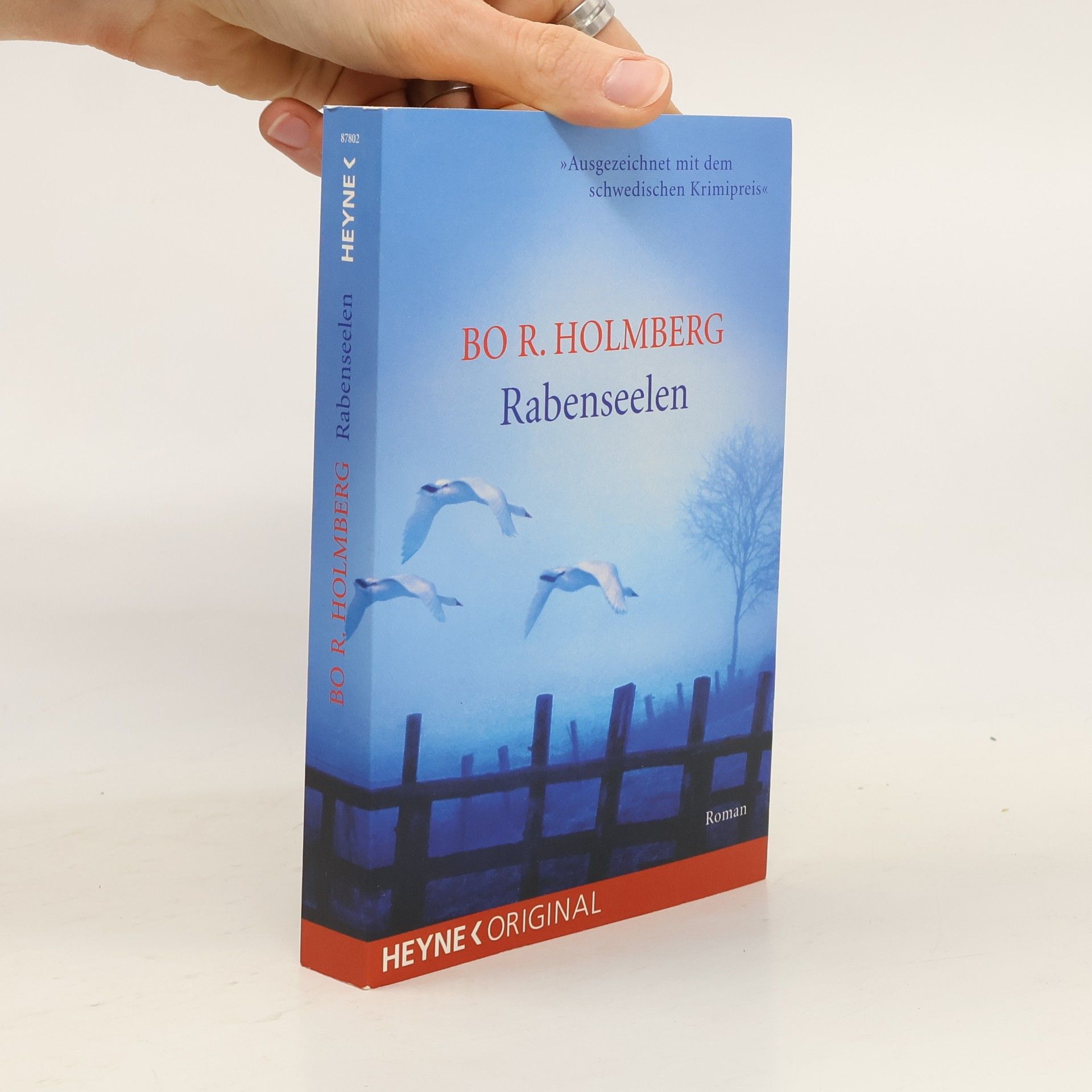 Bo R. Holmberg Rabenseelen