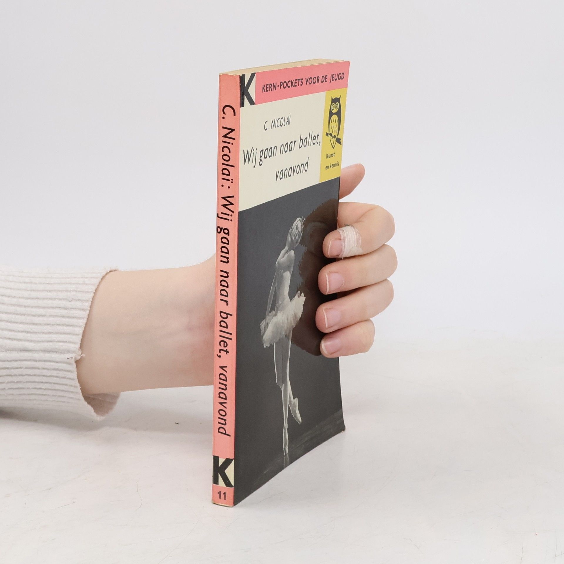 Constans Nicolaï Wij gaan naar ballet, vanavond