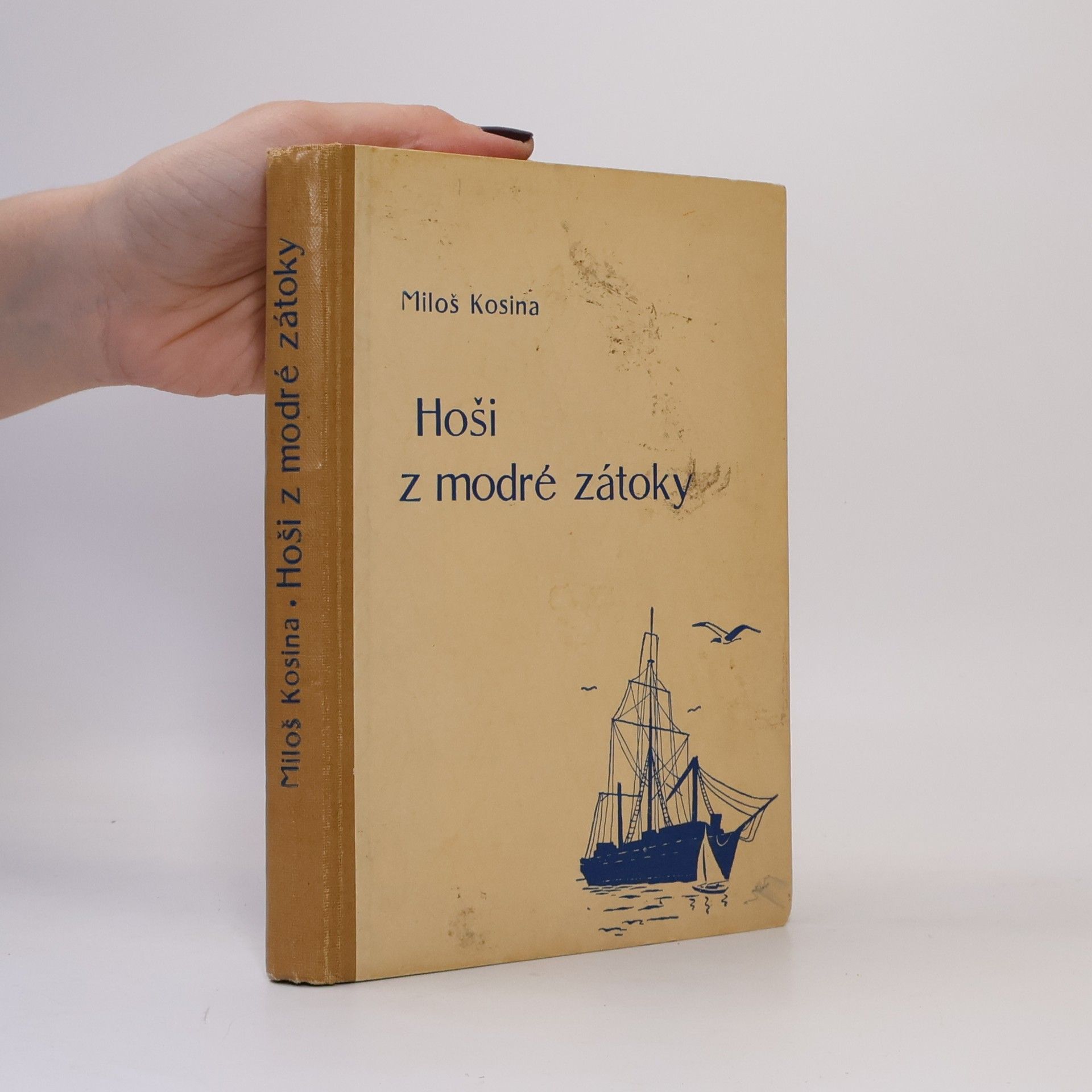 Miloš Kosina Hoši z modré zátoky