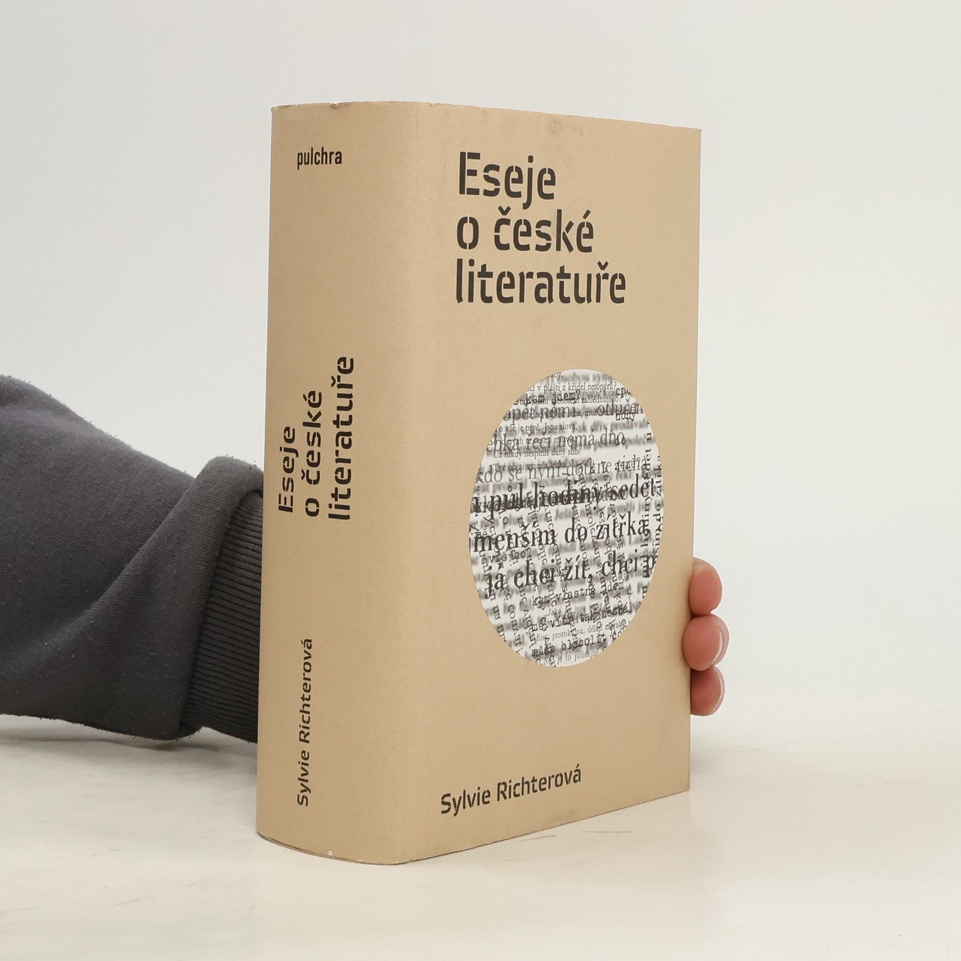 Sylvie Richterová Eseje o české literatuře