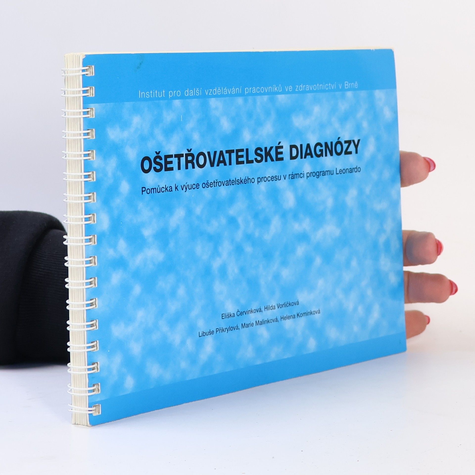 Autorenkollektiv Ošetřovatelské diagnózy. Pomůcka k výuce ošetřovatelského procesu v rámci programu Leonardo