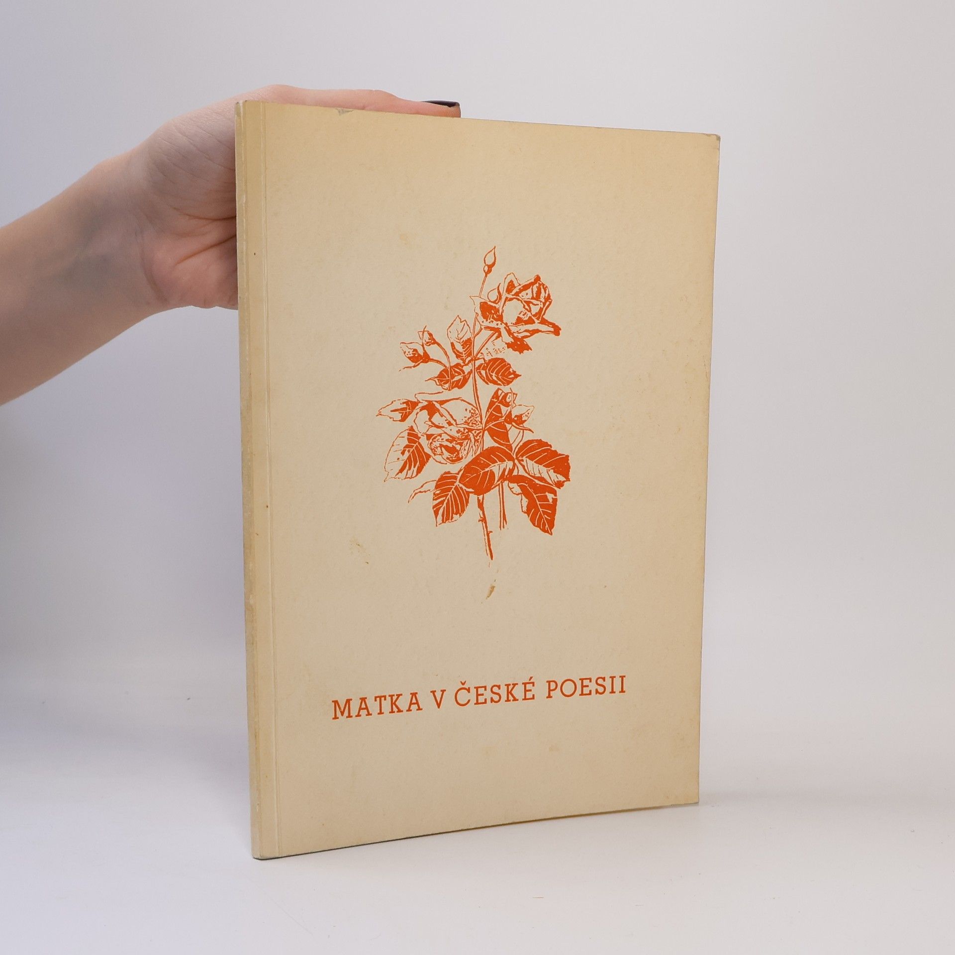 Václav Bozděch Matka v české poesii