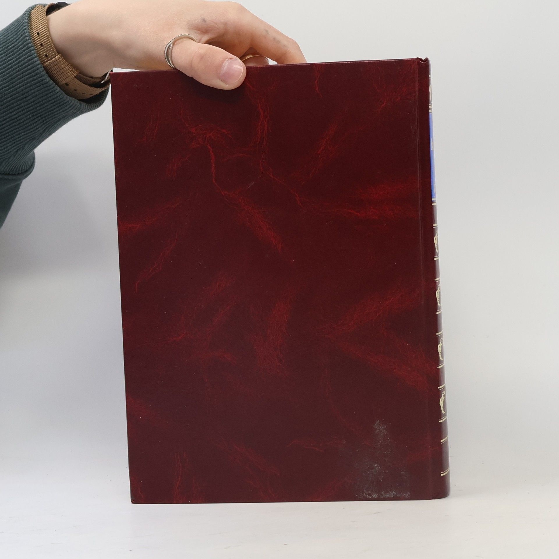 Various authors Velká kuchařka naší babičky