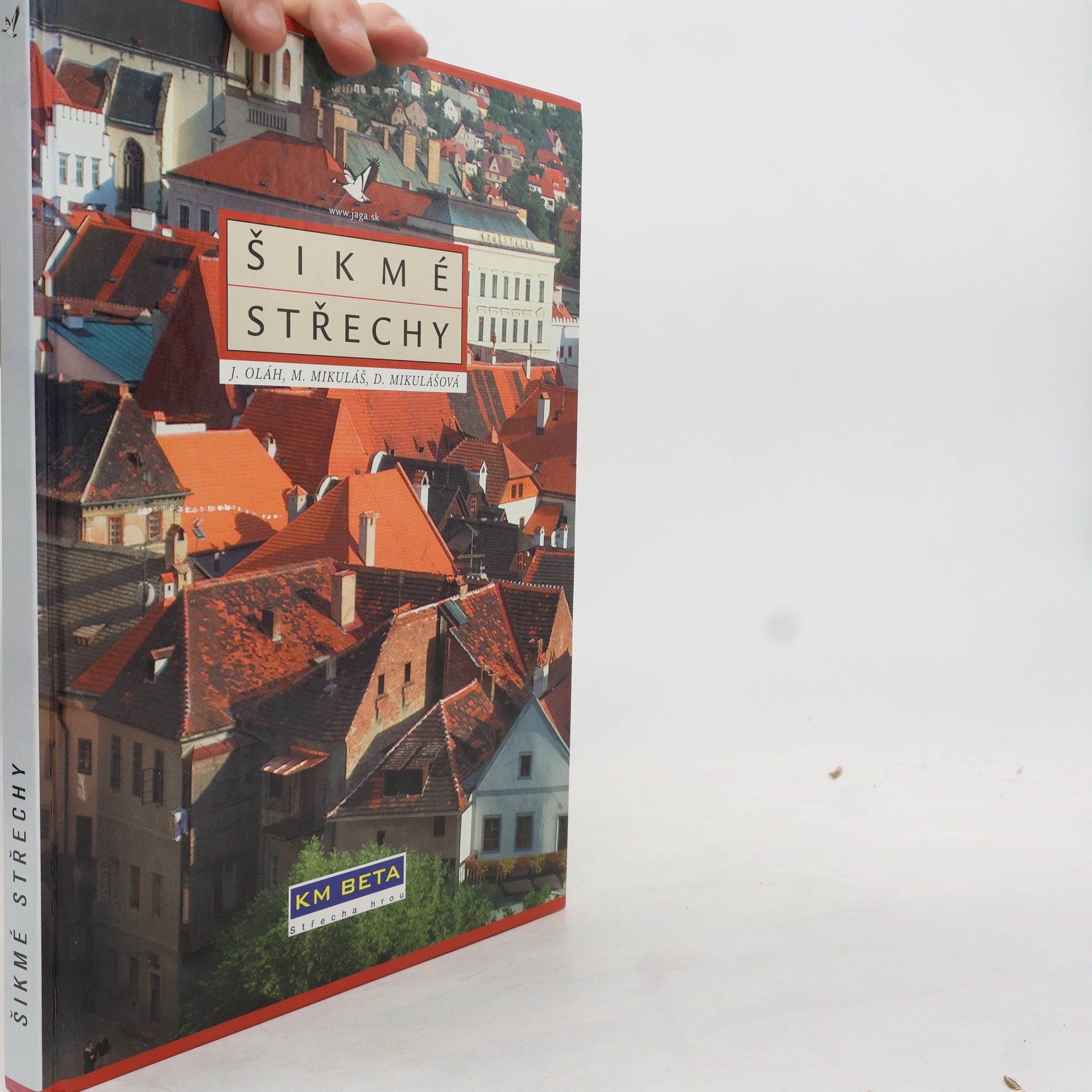 Dana Mikulášová Šikmé střechy
