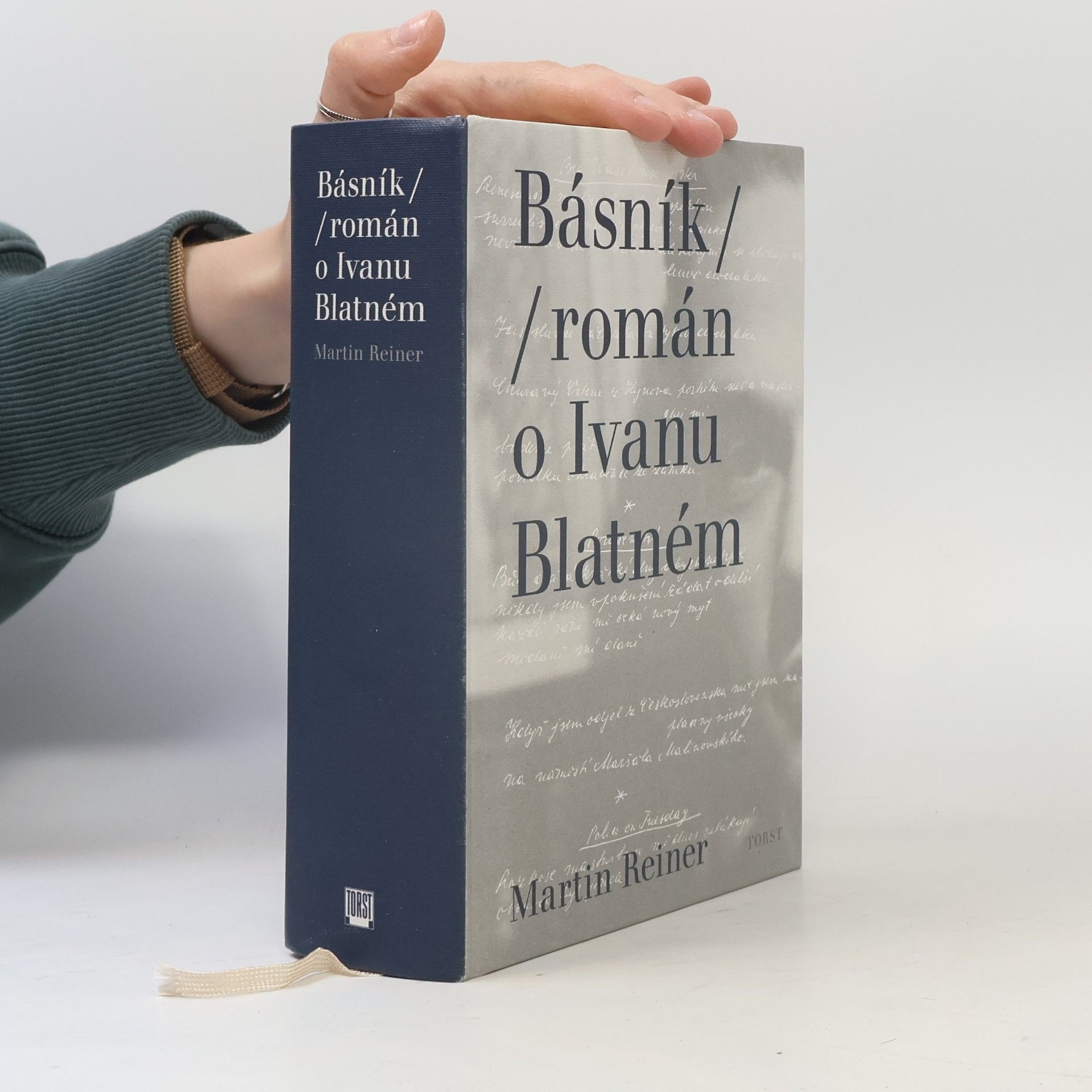 Martin Reiner Básník. Román o Ivanu Blatném
