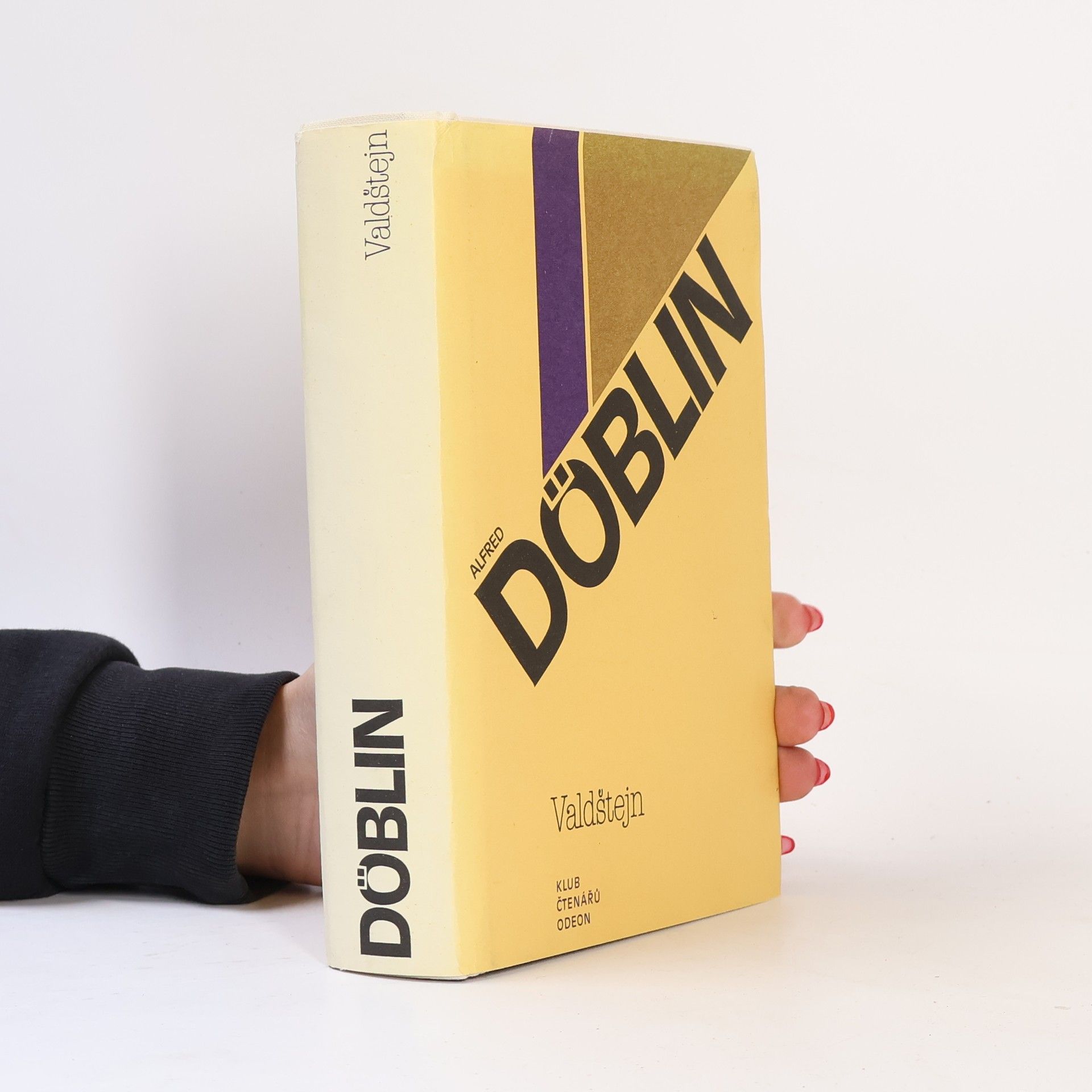 Alfred Döblin Valdštejn