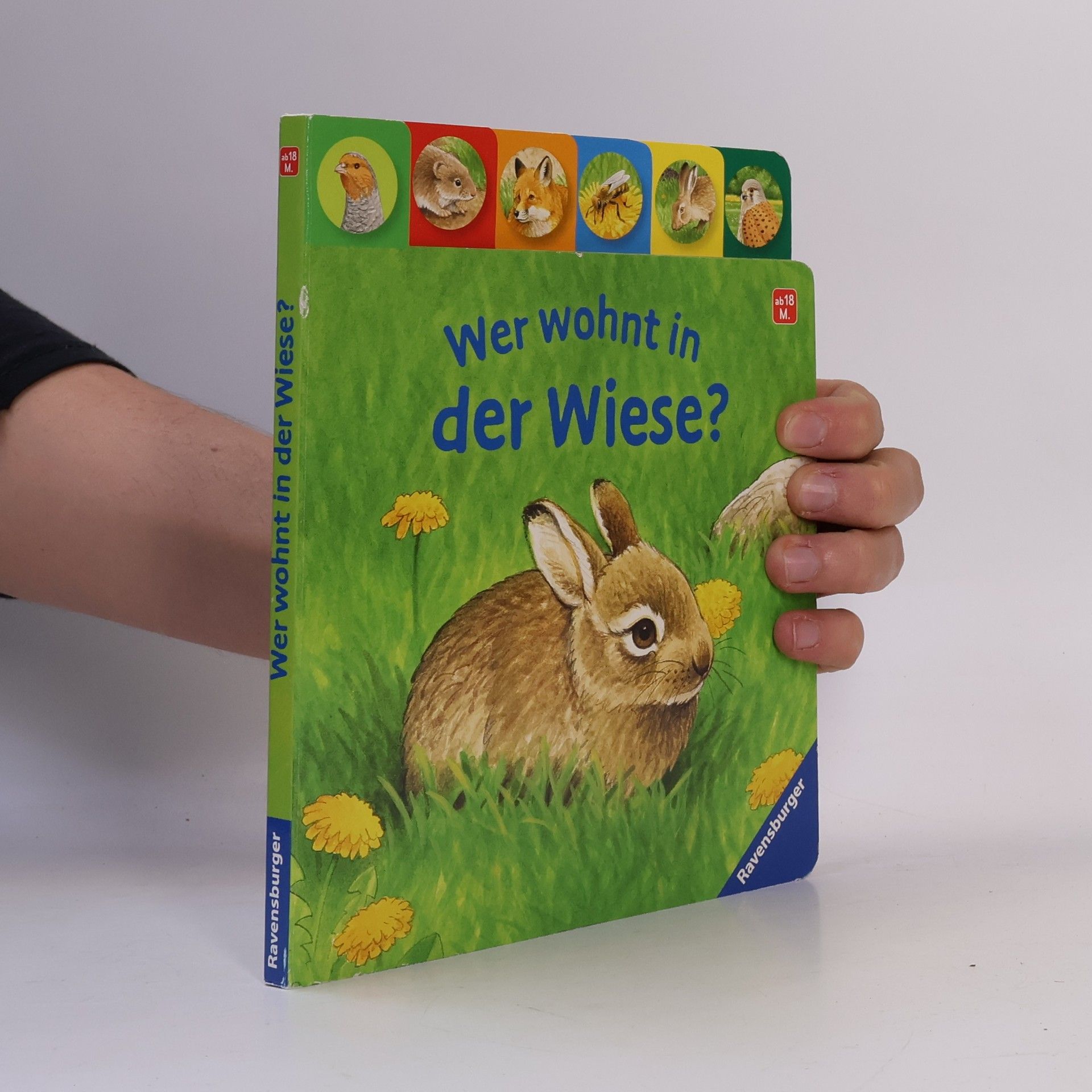 Kolektiv autorů Wer wohnt in der Wiese?