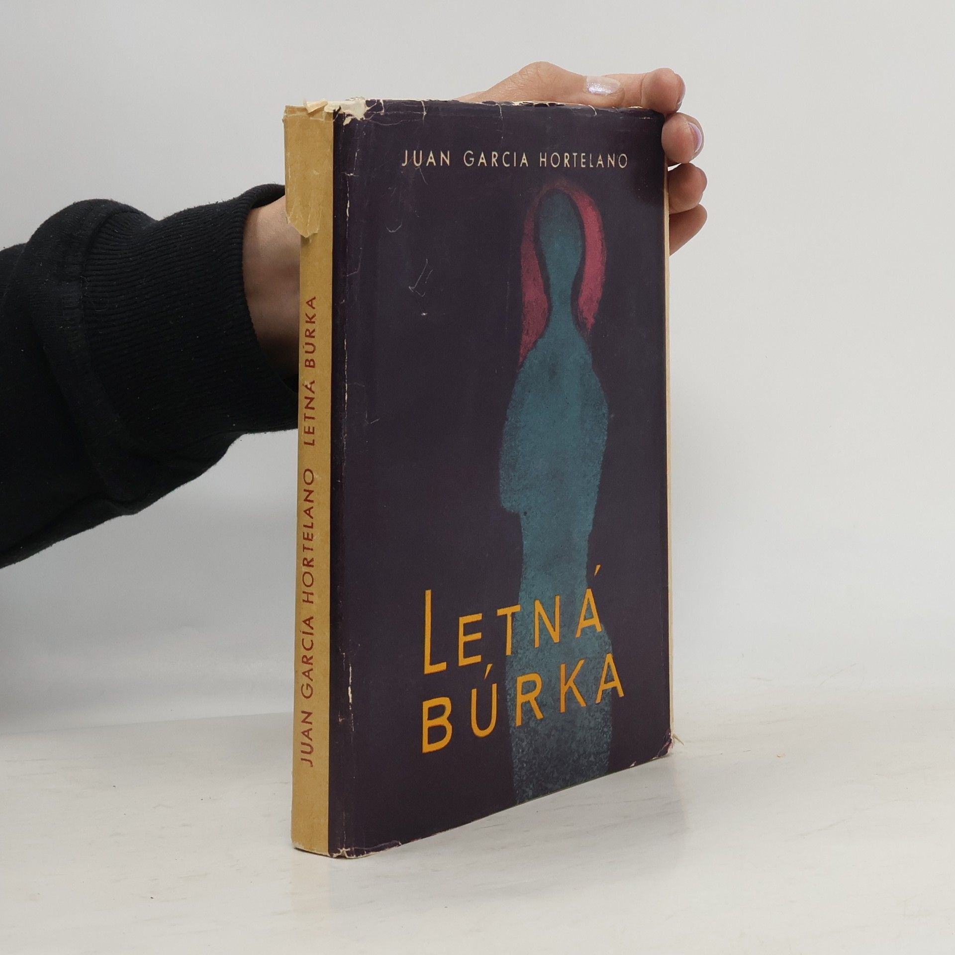 Juan García Hortelano Letná búrka