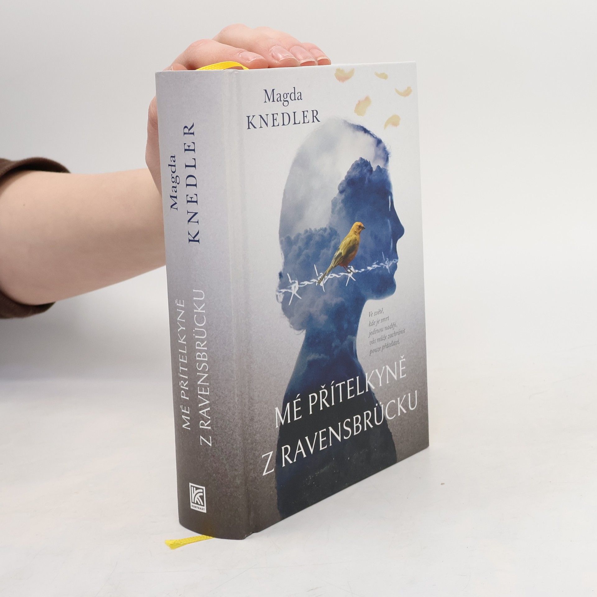 Magdalena Knedler Mé přítelkyně z Ravensbrücku