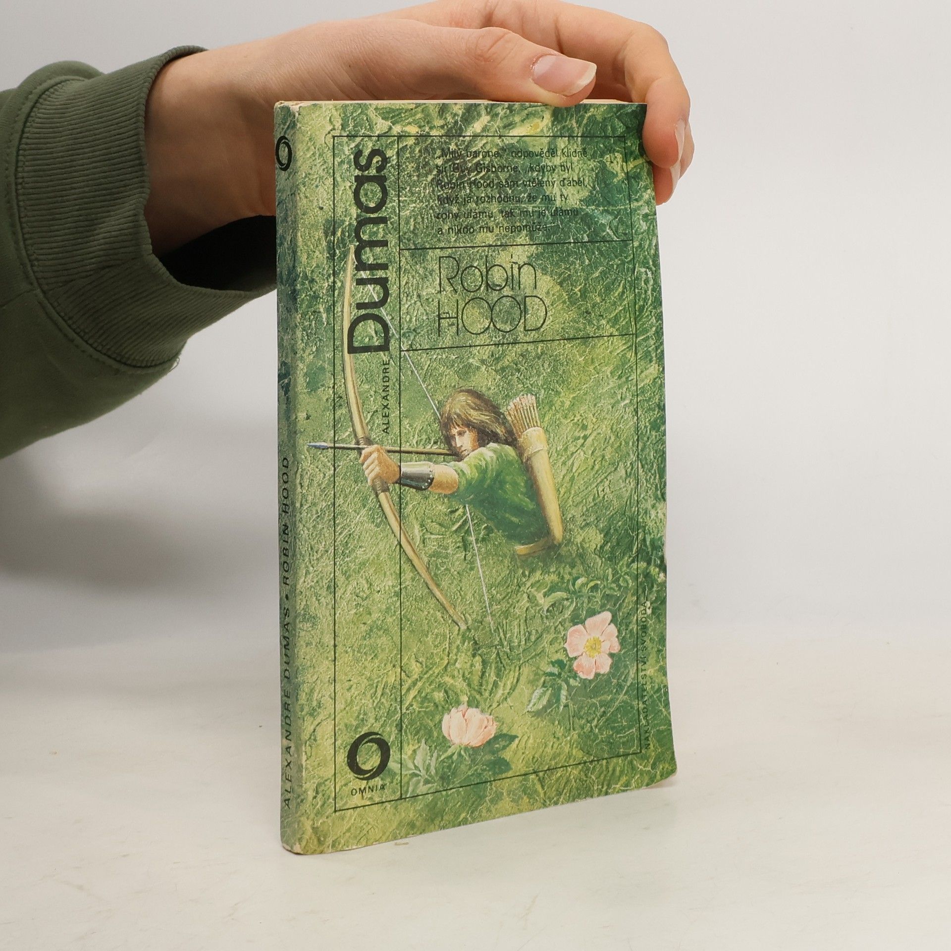 Alexandre Dumas der Ältere Robin Hood