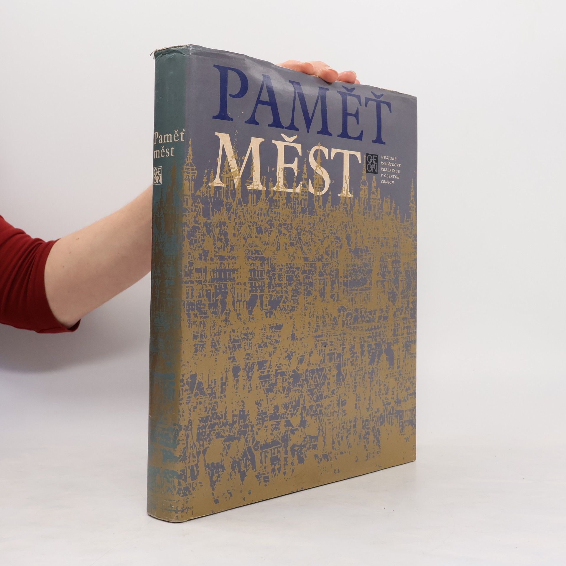 Autorenkollektiv Paměť měst