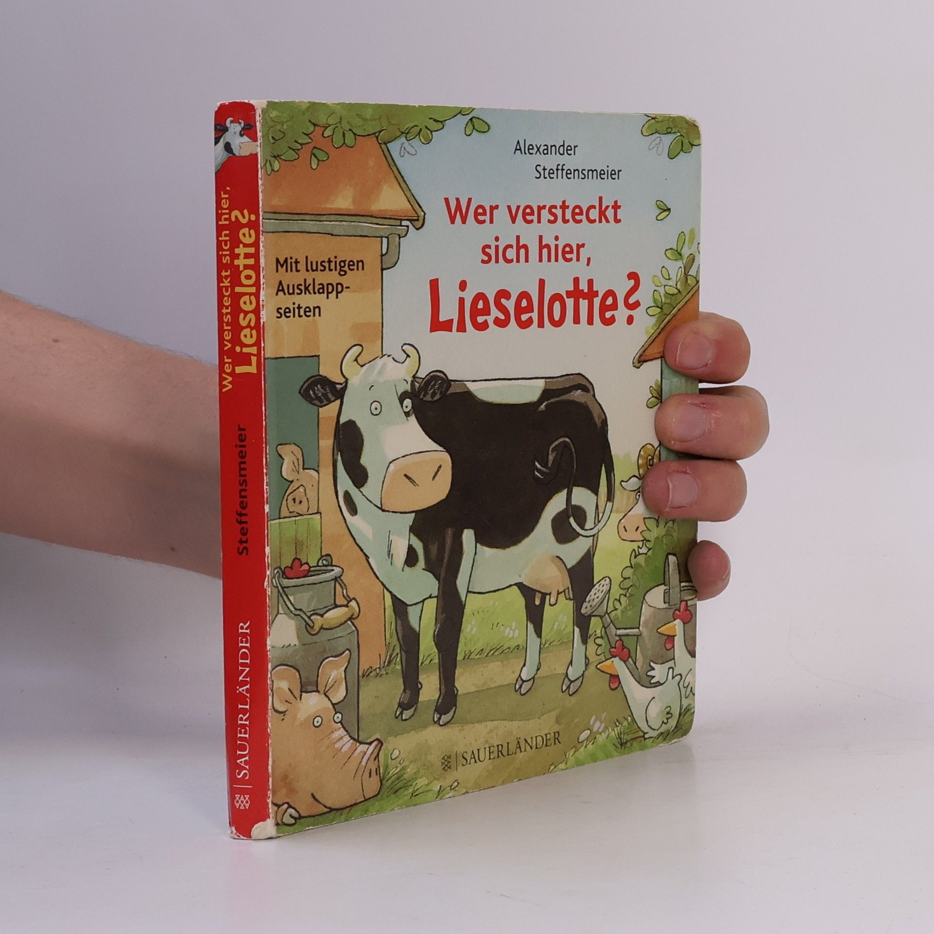 Alexander Steffensmeier Wer versteckt sich hier, Lieselotte?