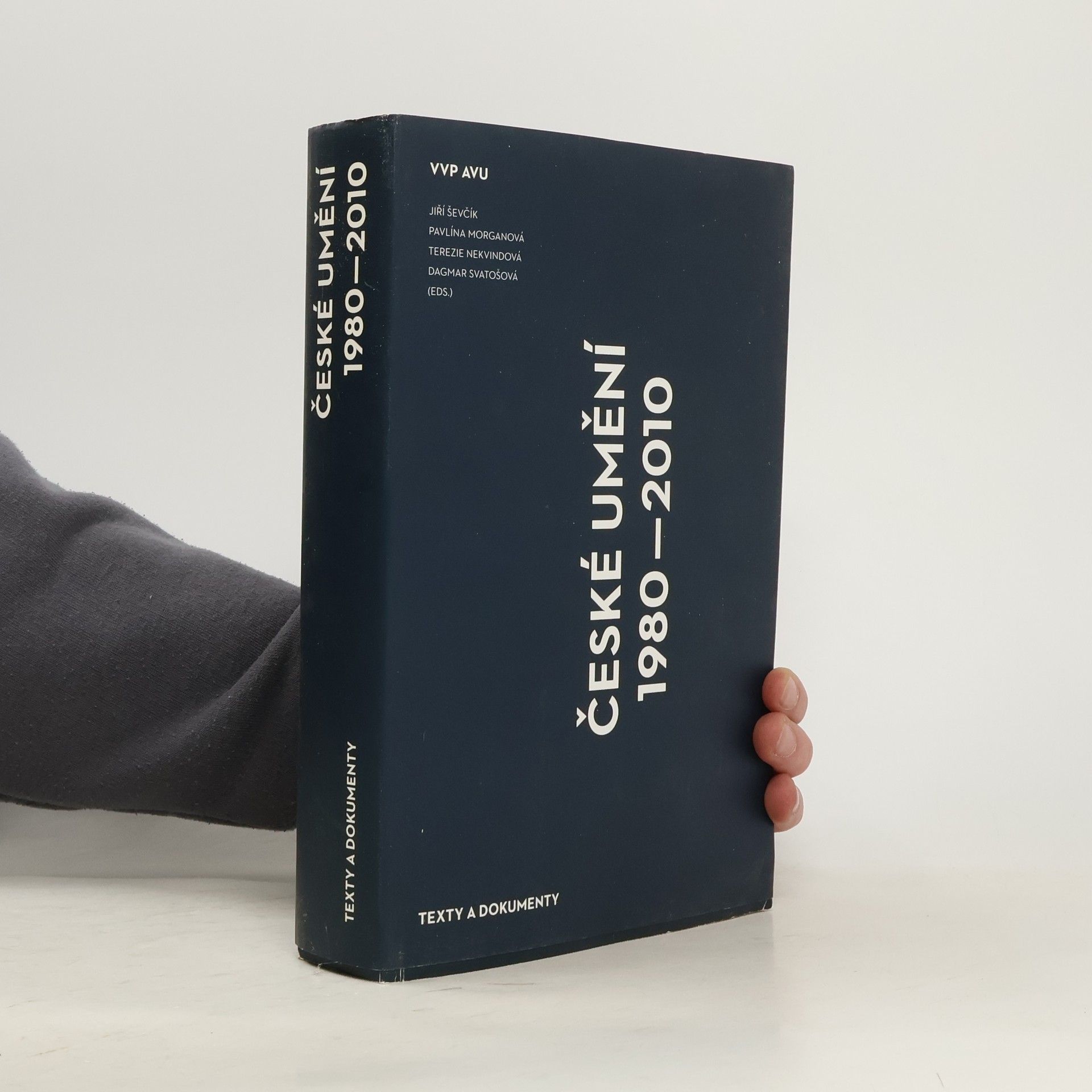 Pavlína Morganová České umění 1980–2010