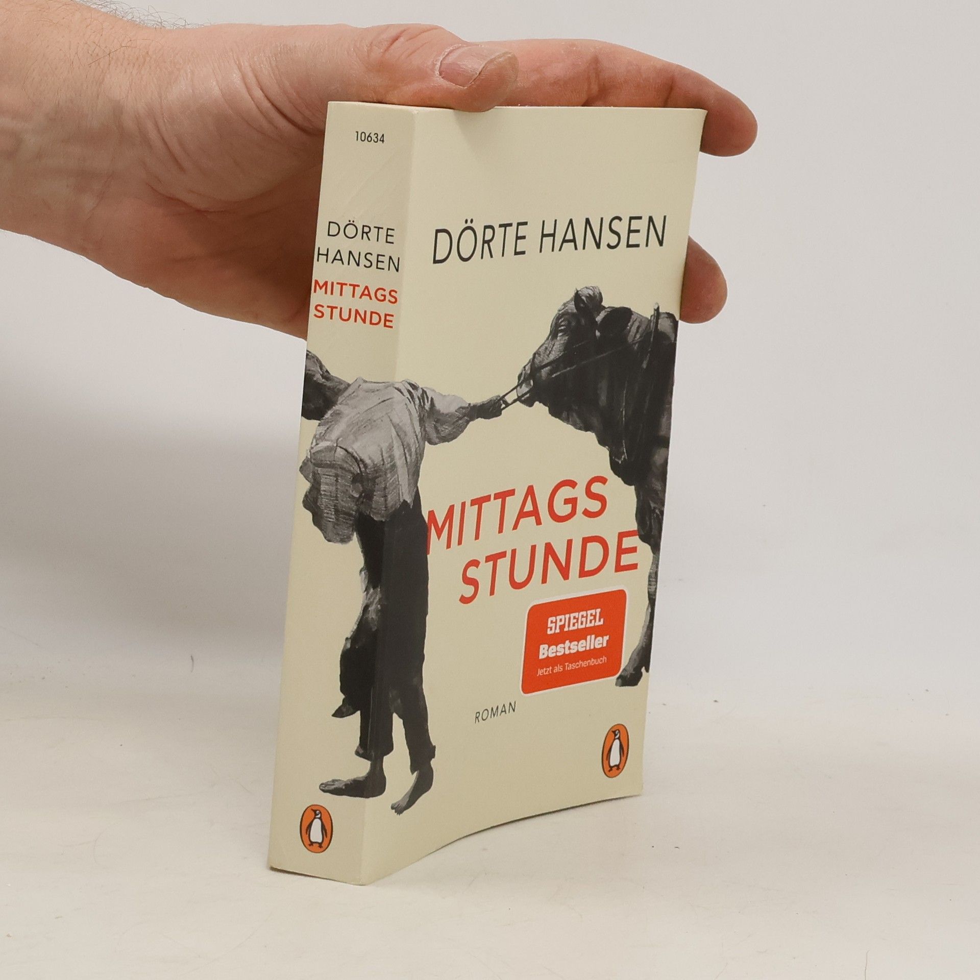 Dörte Hansen Mittagsstunde