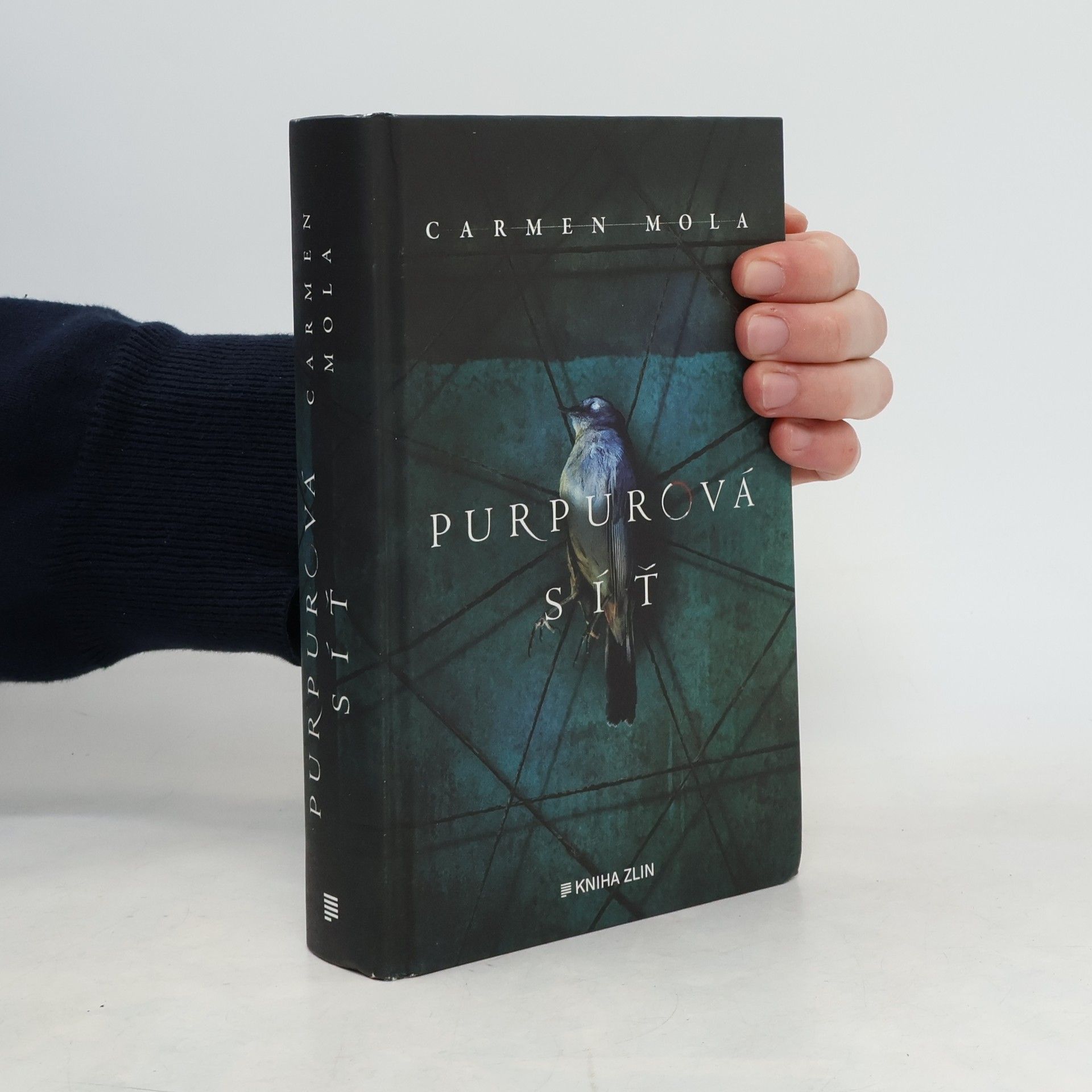 Anna Melicharová Purpurová síť