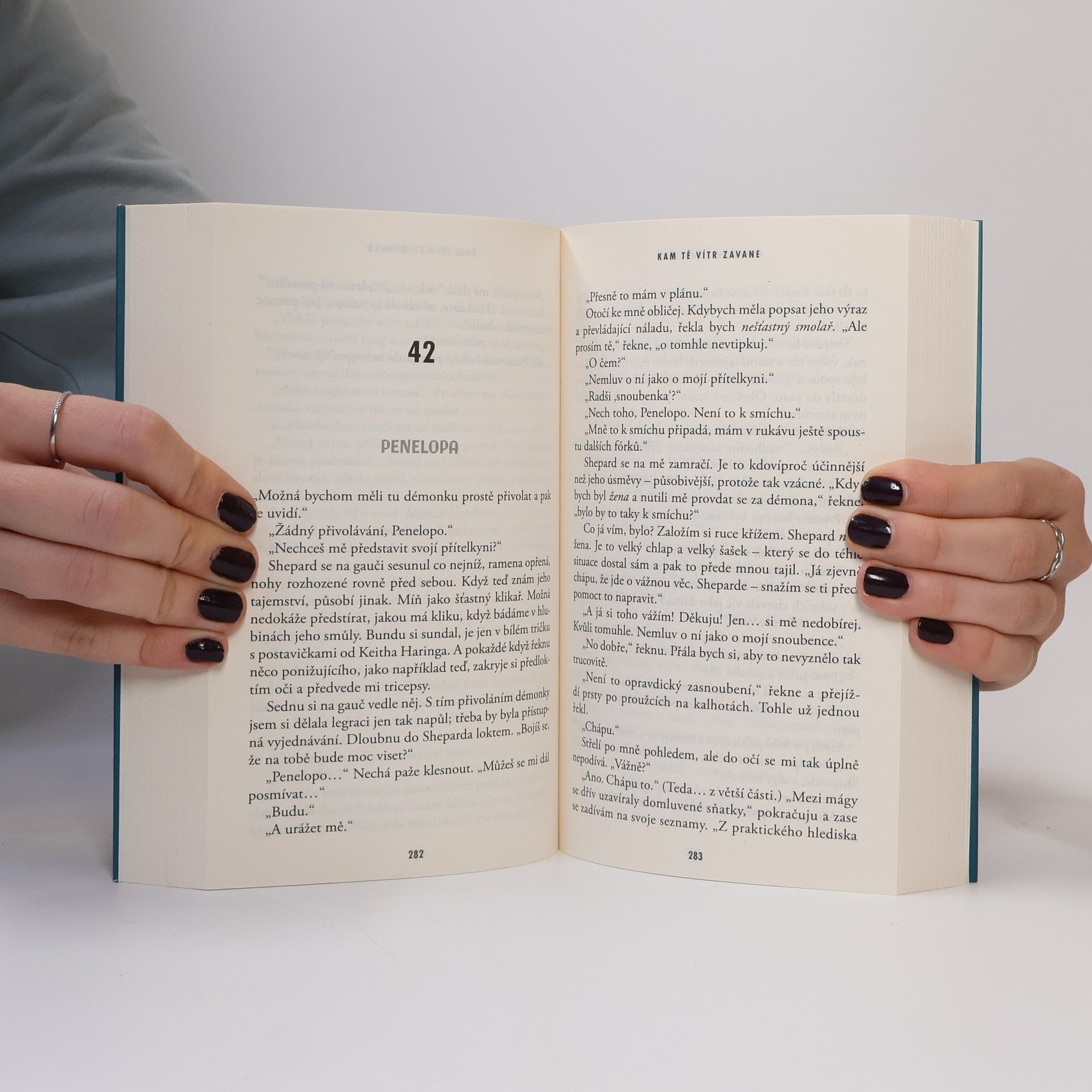 Rainbow Rowell Kam tě vítr zavane