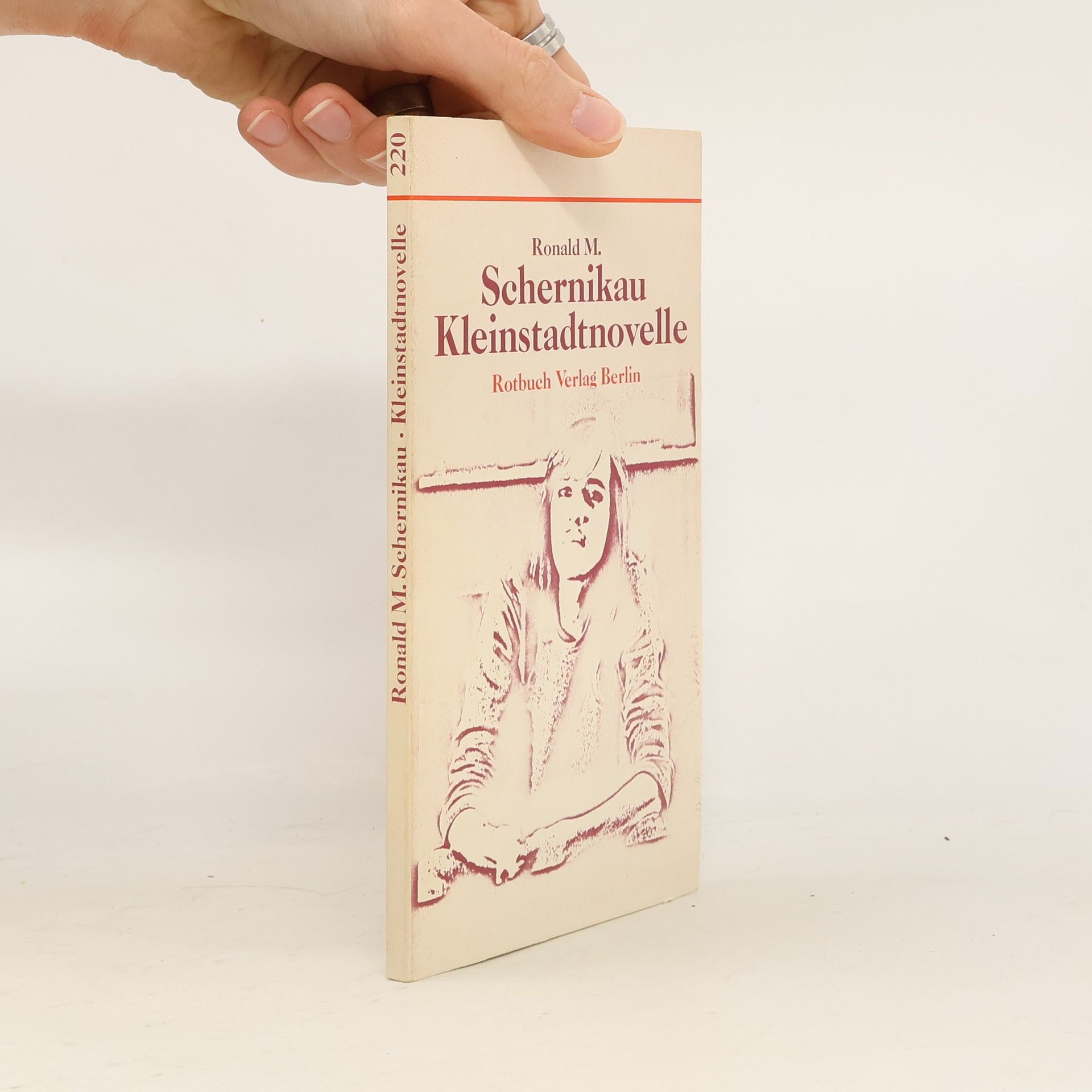 Rotbuch - 220: Kleinstadtnovelle