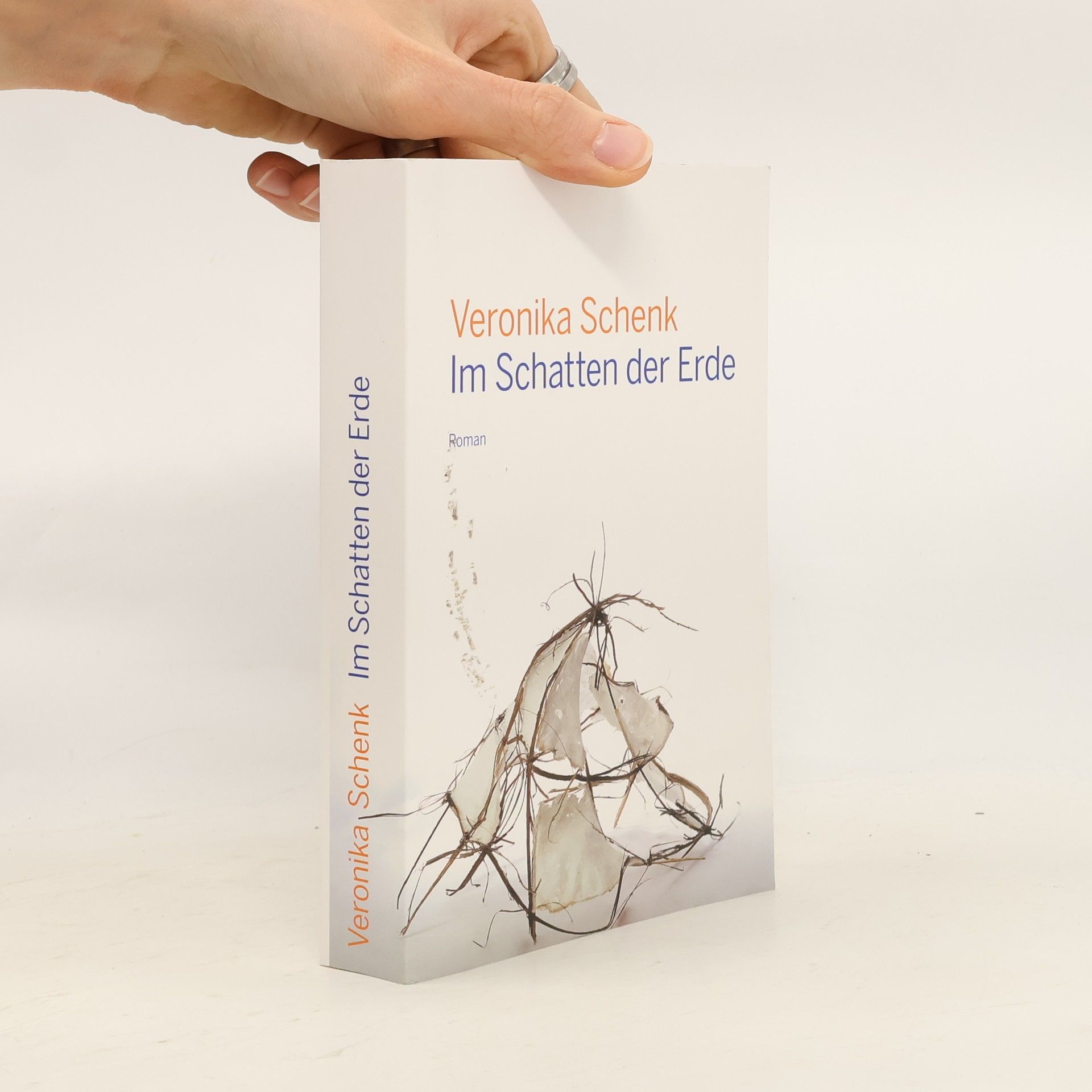 Veronika Schenk Im Schatten der Erde