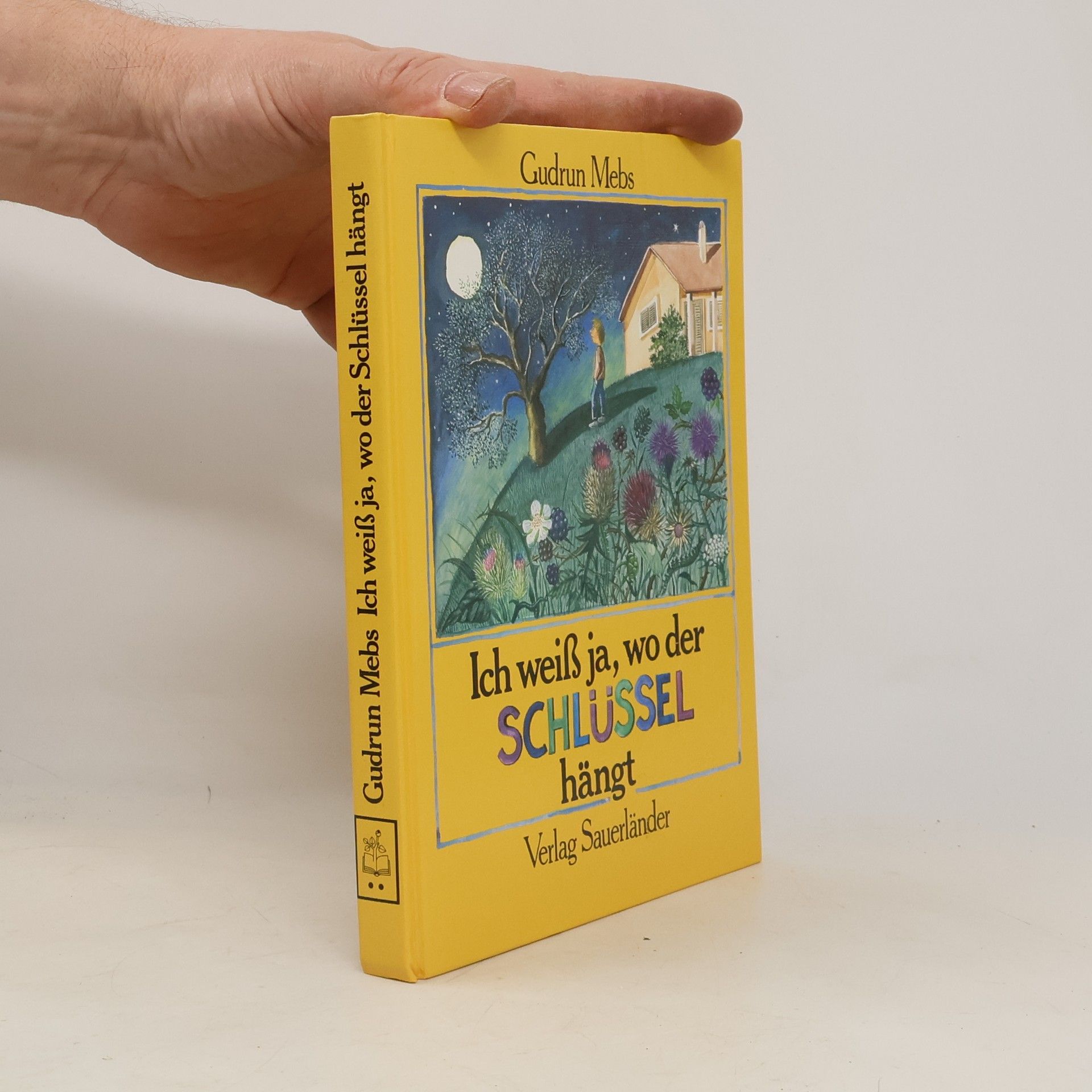 Gudrun Mebs Ich weiss ja, wo der Schlüssel hängt
