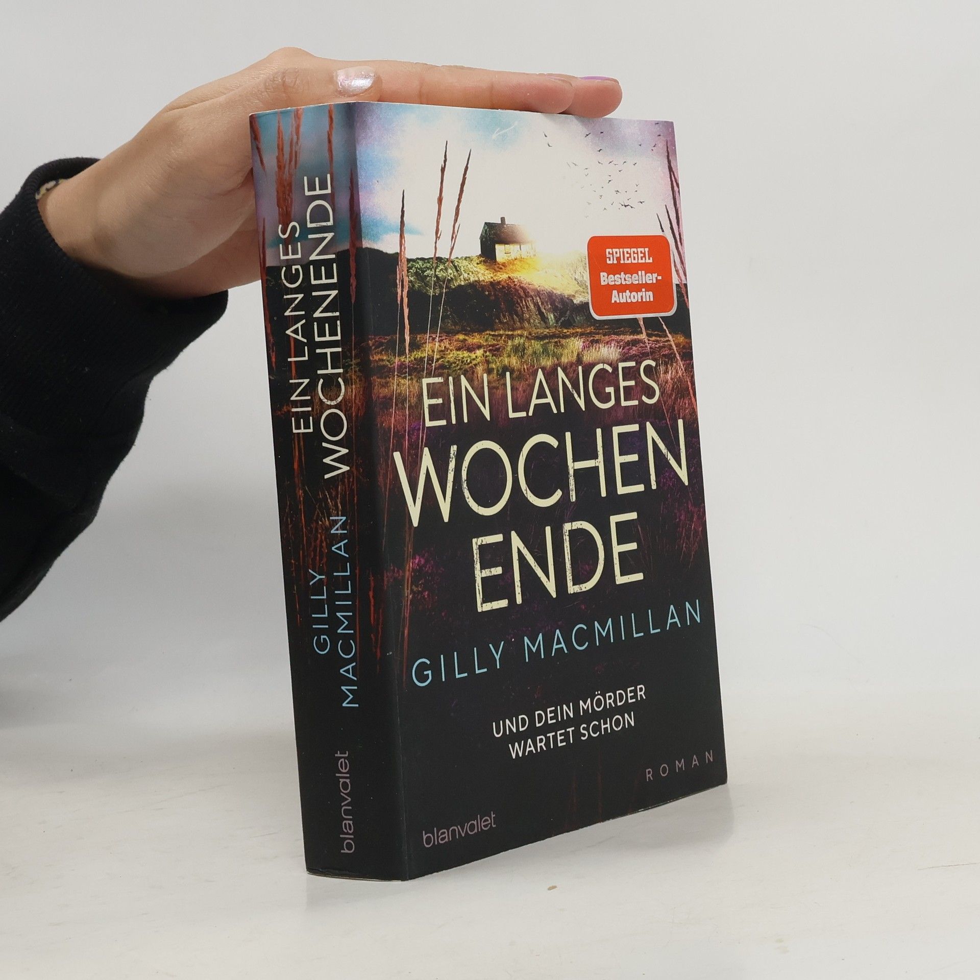 Gilly Macmillan Ein langes Wochenende