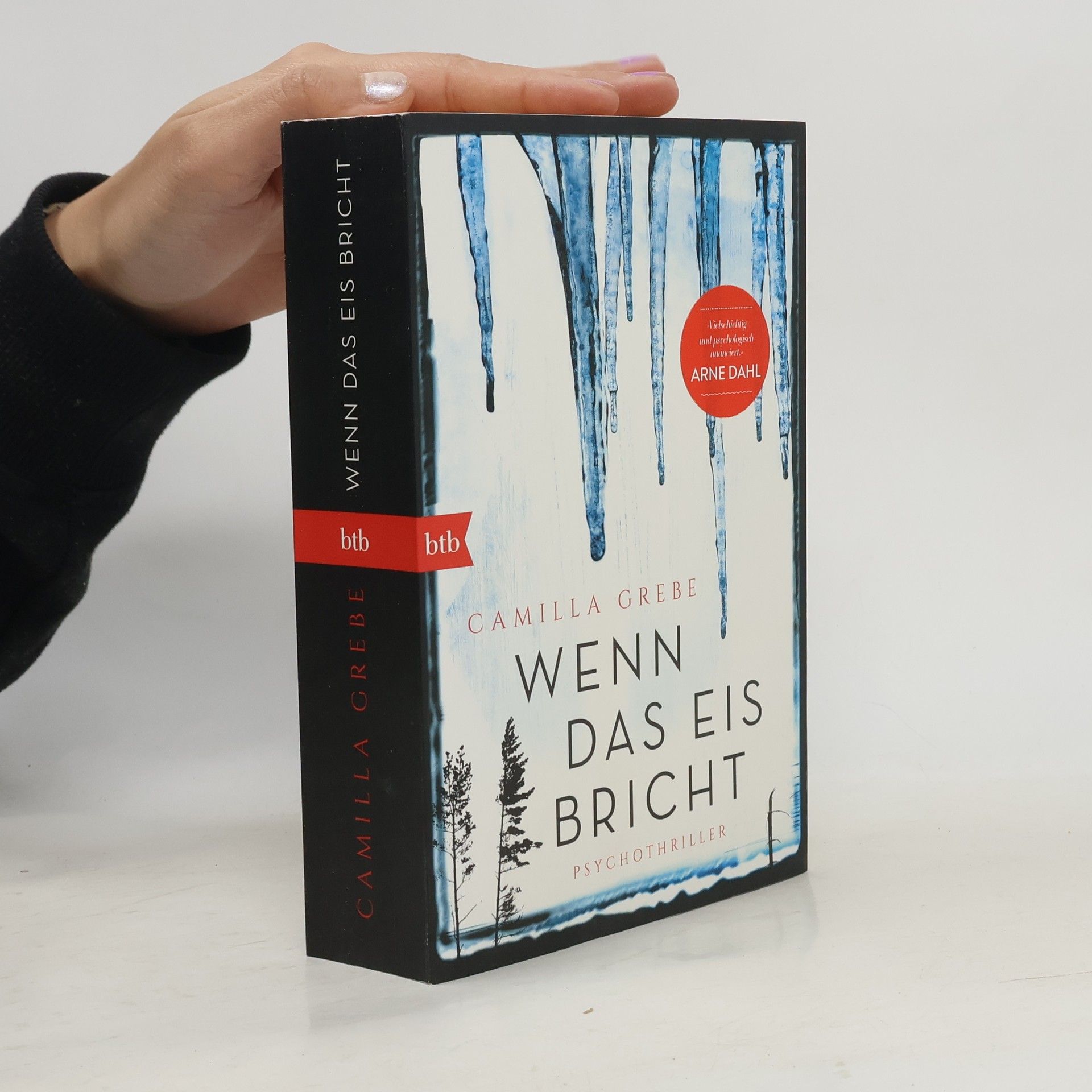 Camilla Grebe Wenn das Eis bricht