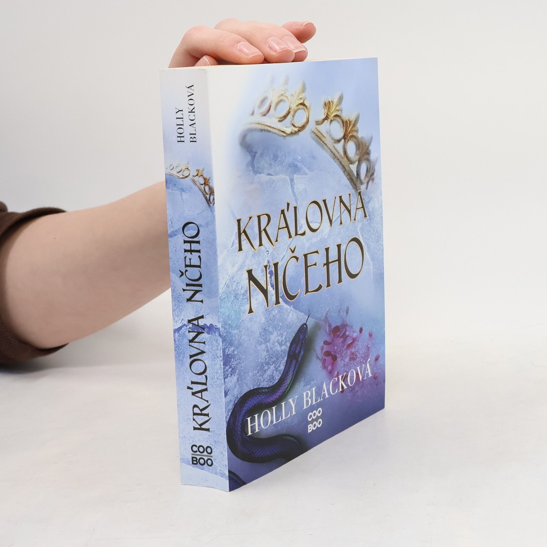 Holly Black Královna ničeho