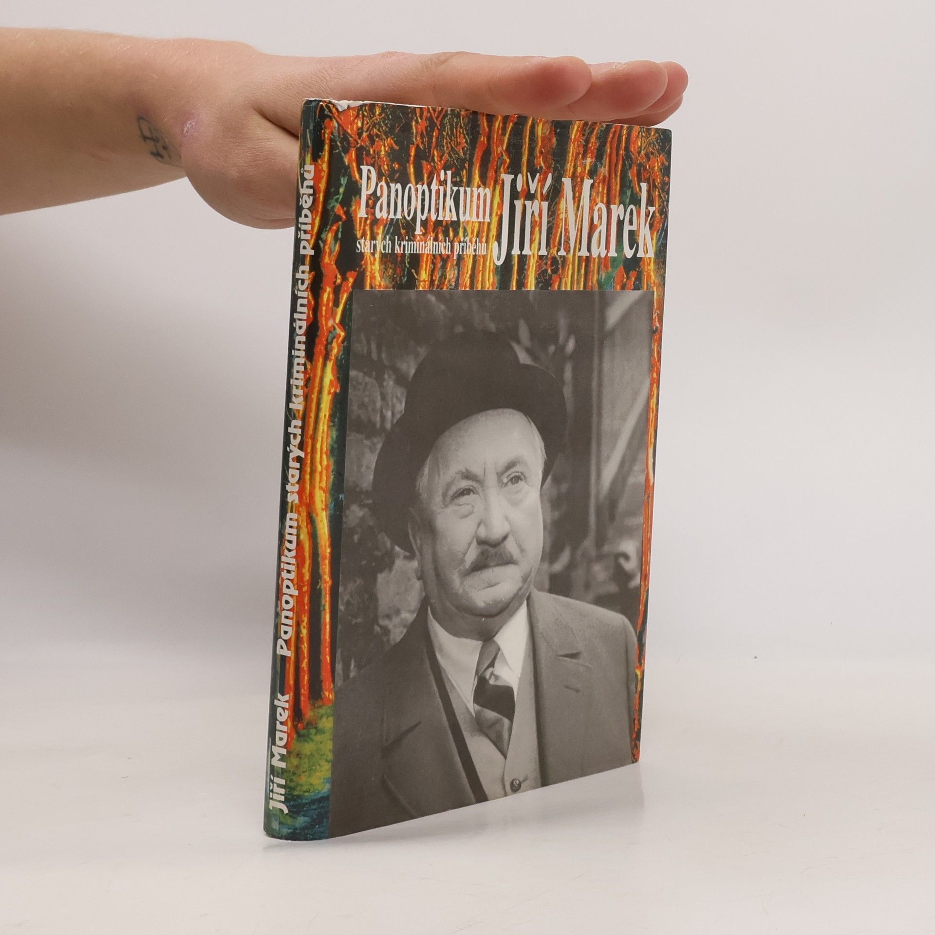 Panoptikum starých kriminálních příběhů