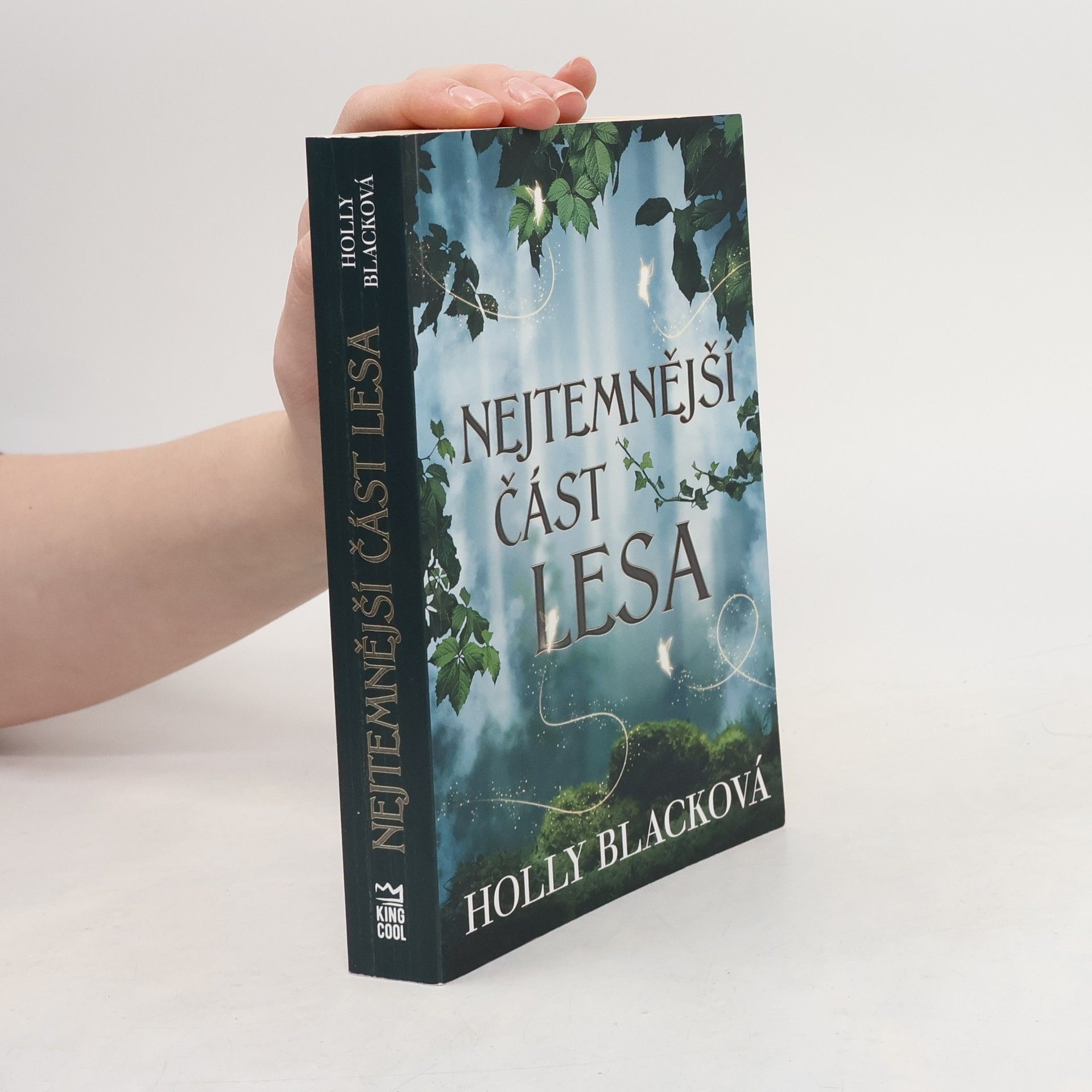 Holly Black Nejtemnější část lesa