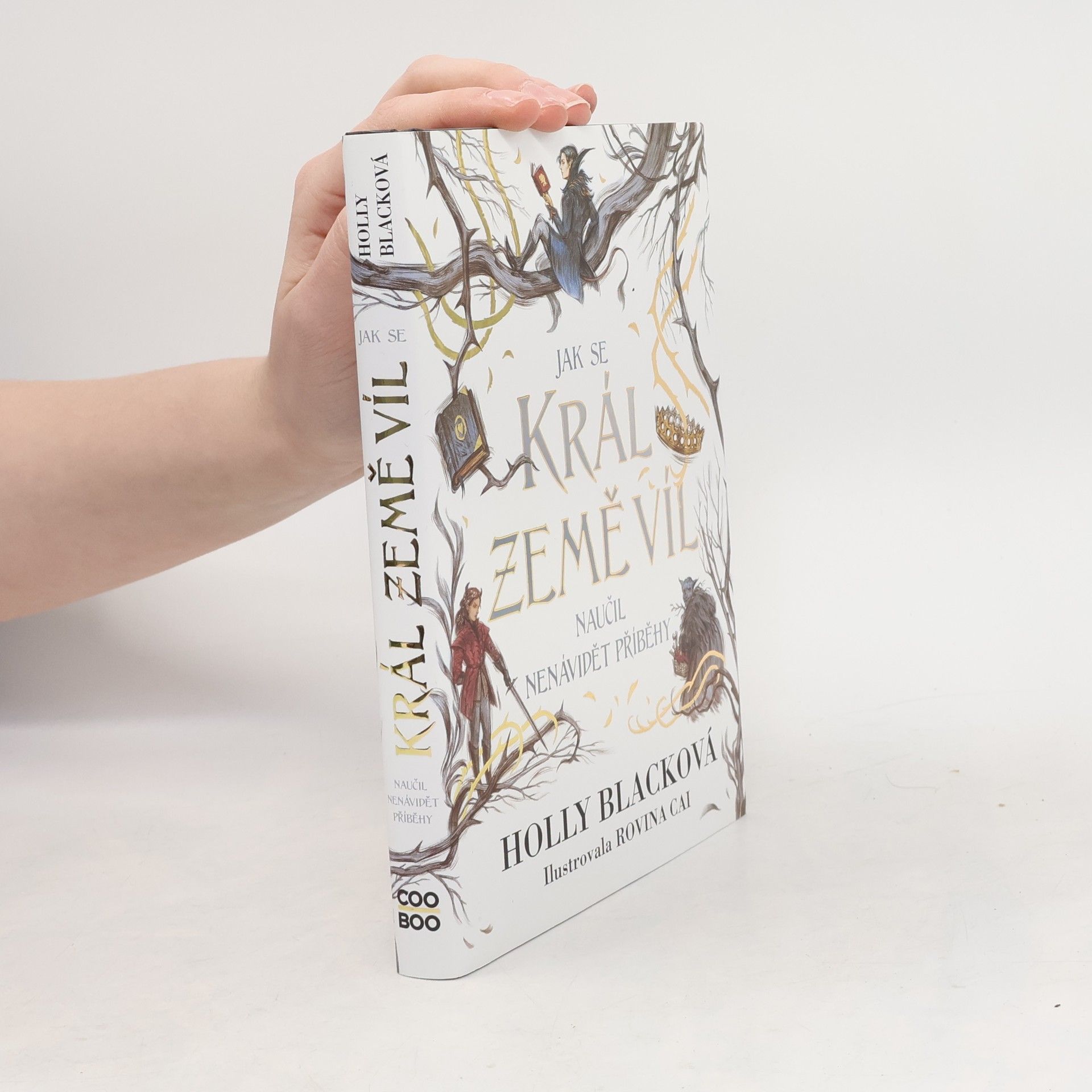 Holly Black Jak se král Země víl naučil nenávidět příběhy