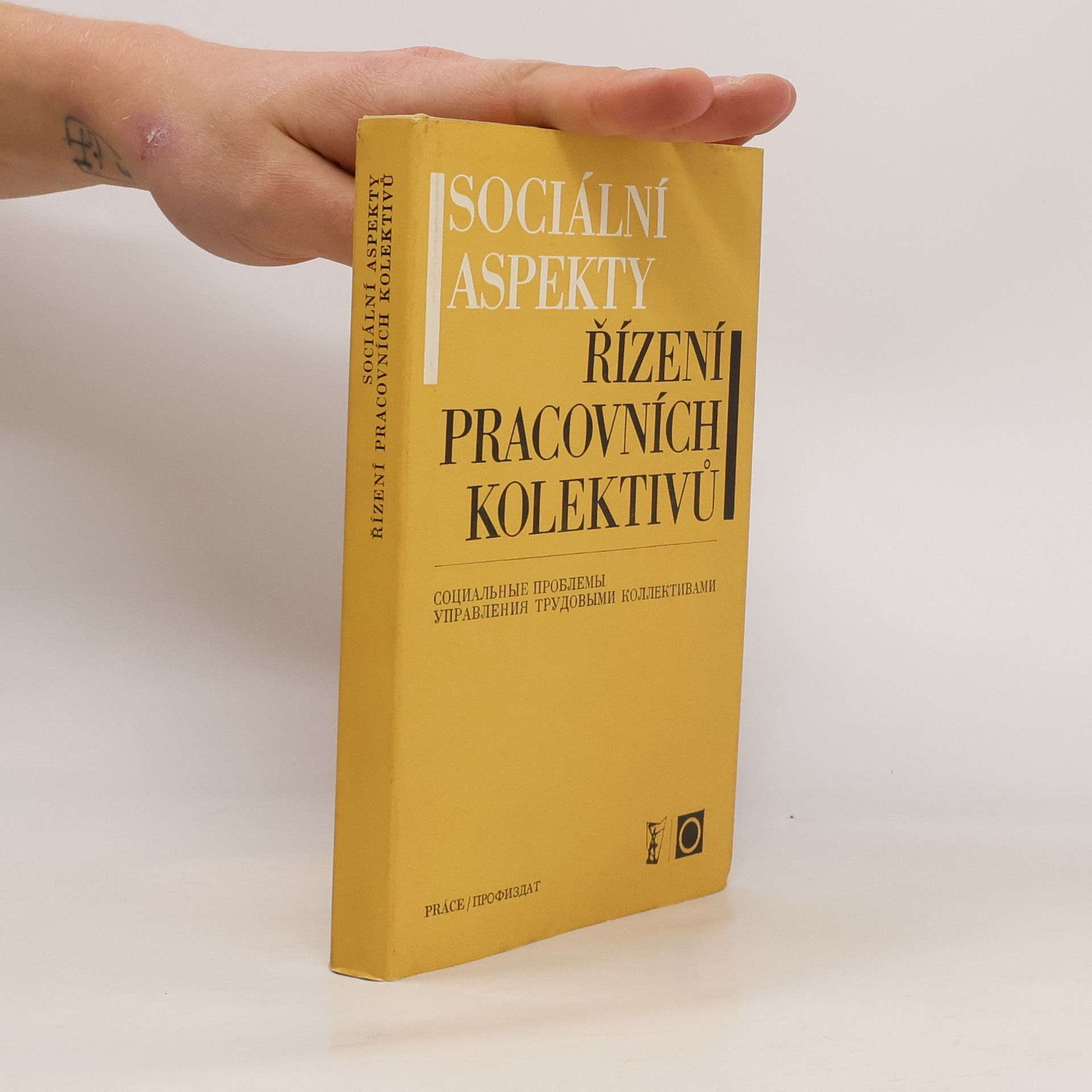 Autorenkollektiv Sociální aspekty. Řízení pracovních kolektivů