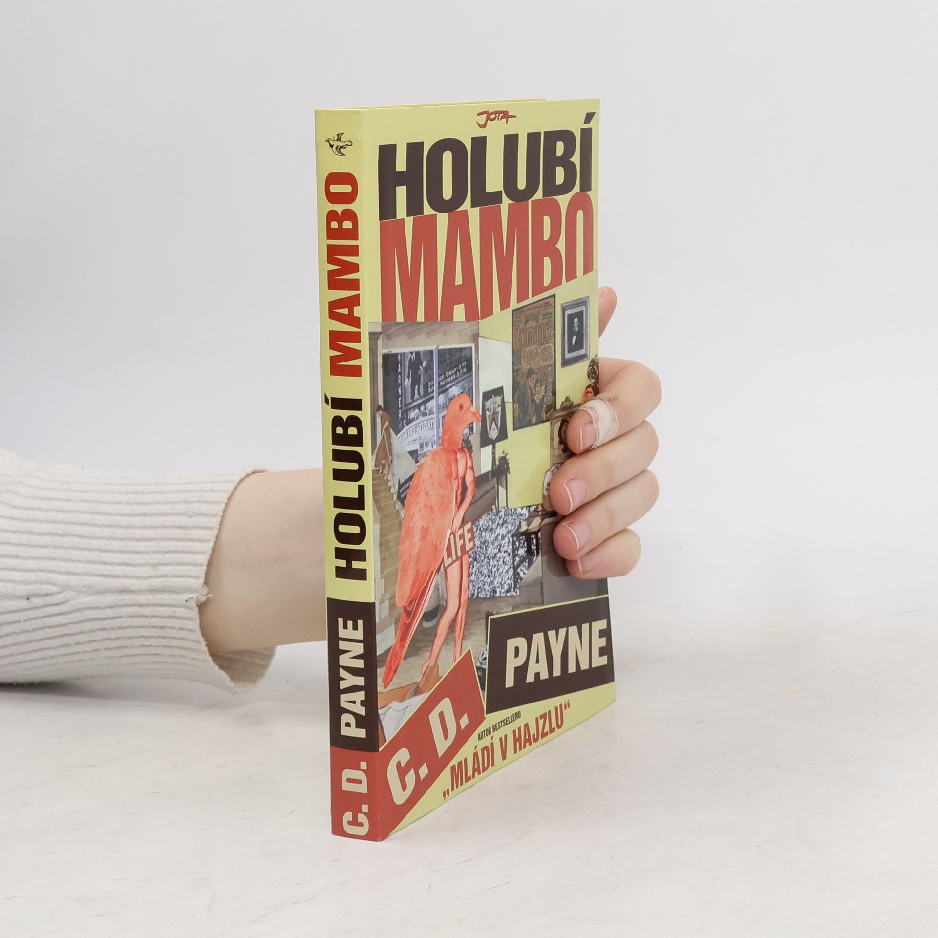 Tamara Váňová Holubí mambo