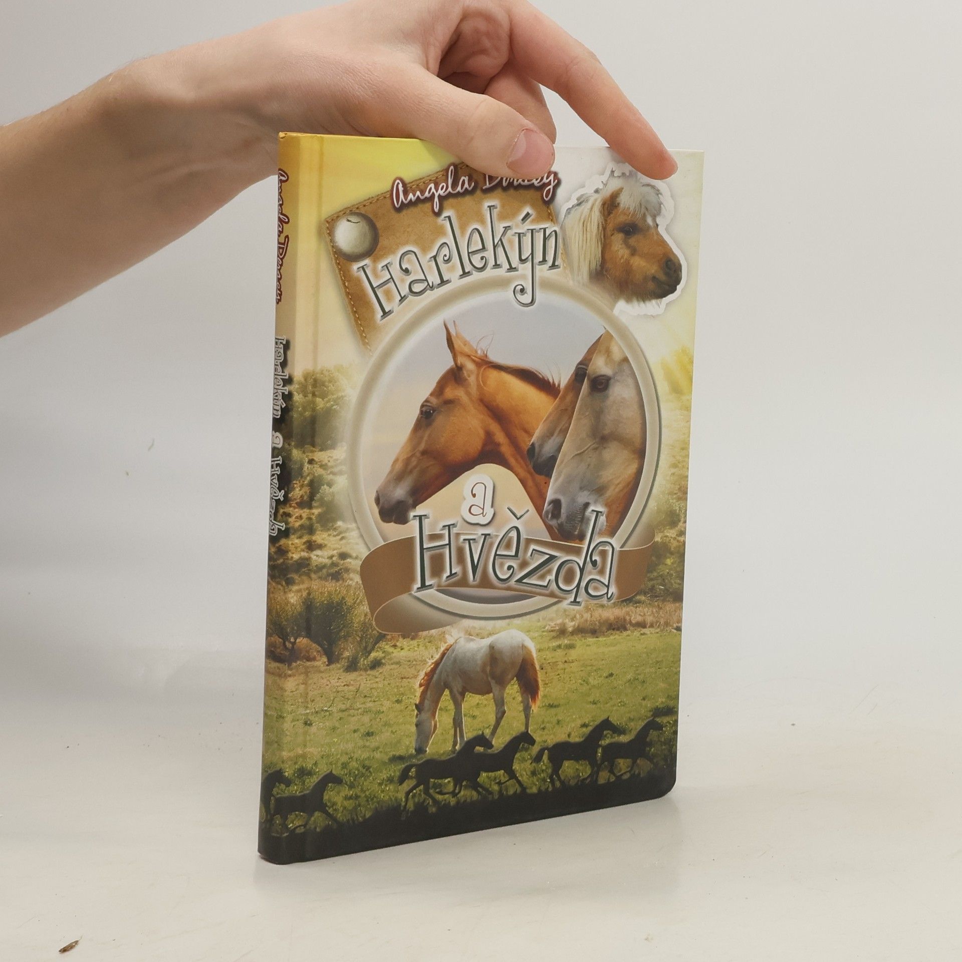 Angela Dorsey Harlekýn a Hvězda