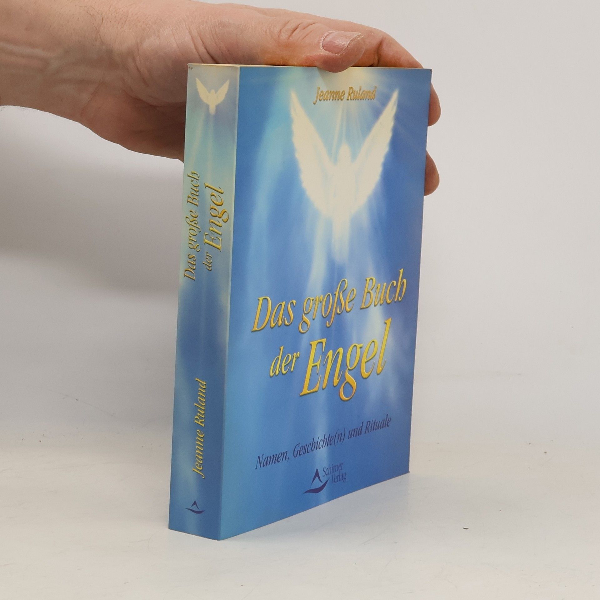 Jeanne Ruland Das große Buch der Engel