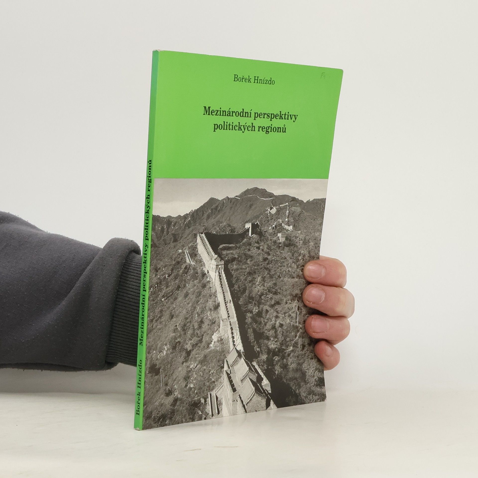 Bořivoj Hnízdo Mezinárodní perspektivy politických regionů