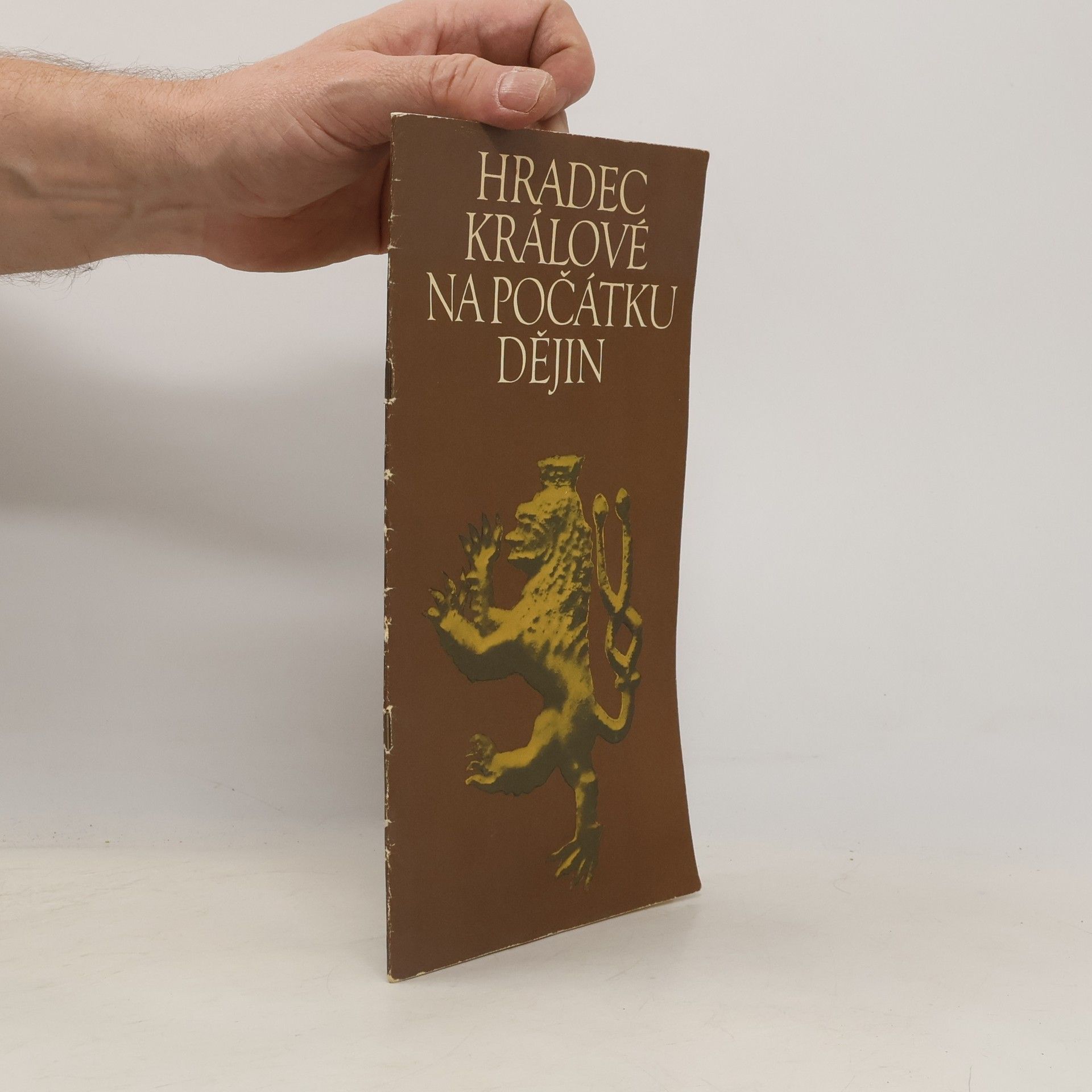 Hradec Králové na počátku dějin