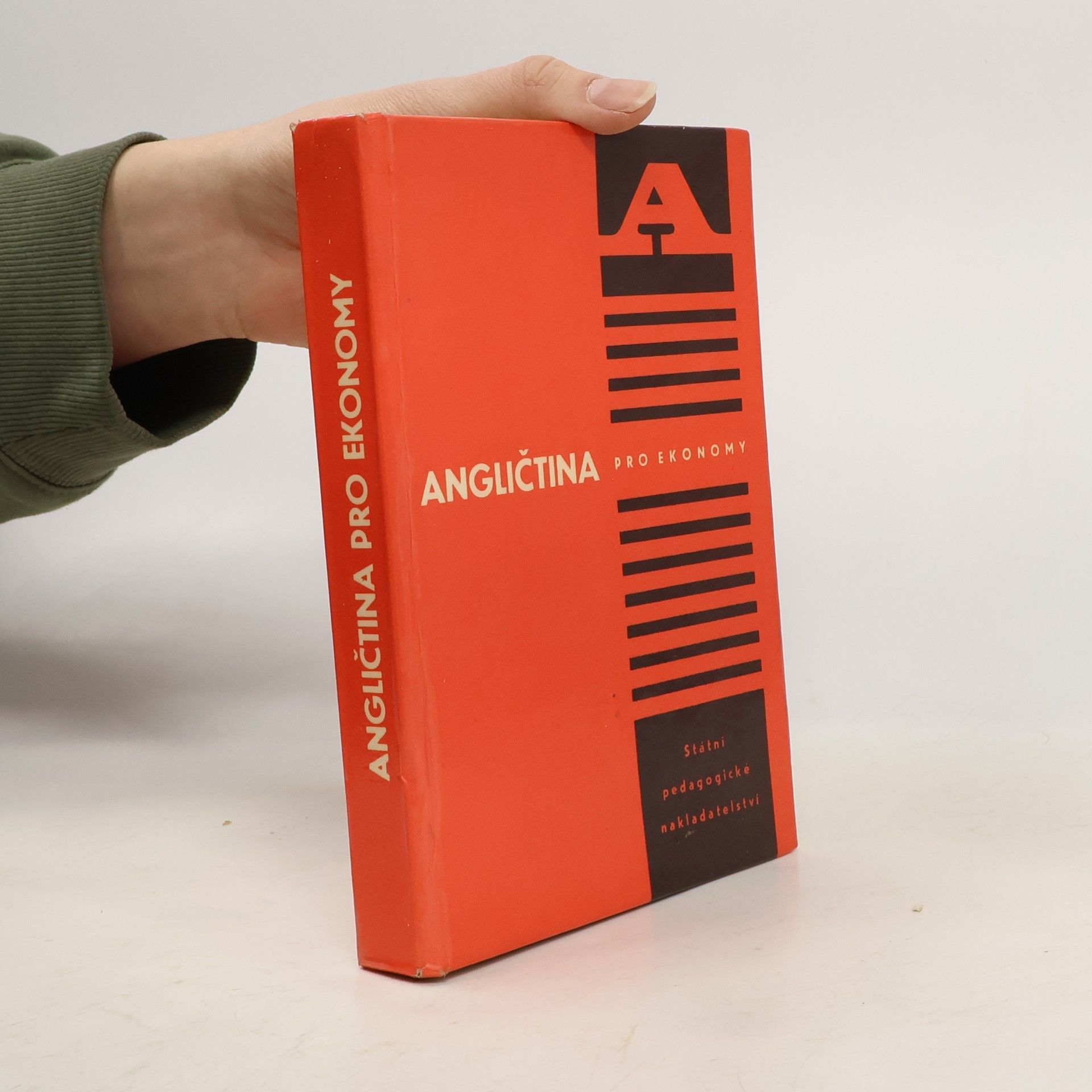 Vladimír Irgl Angličtina pro ekonomy