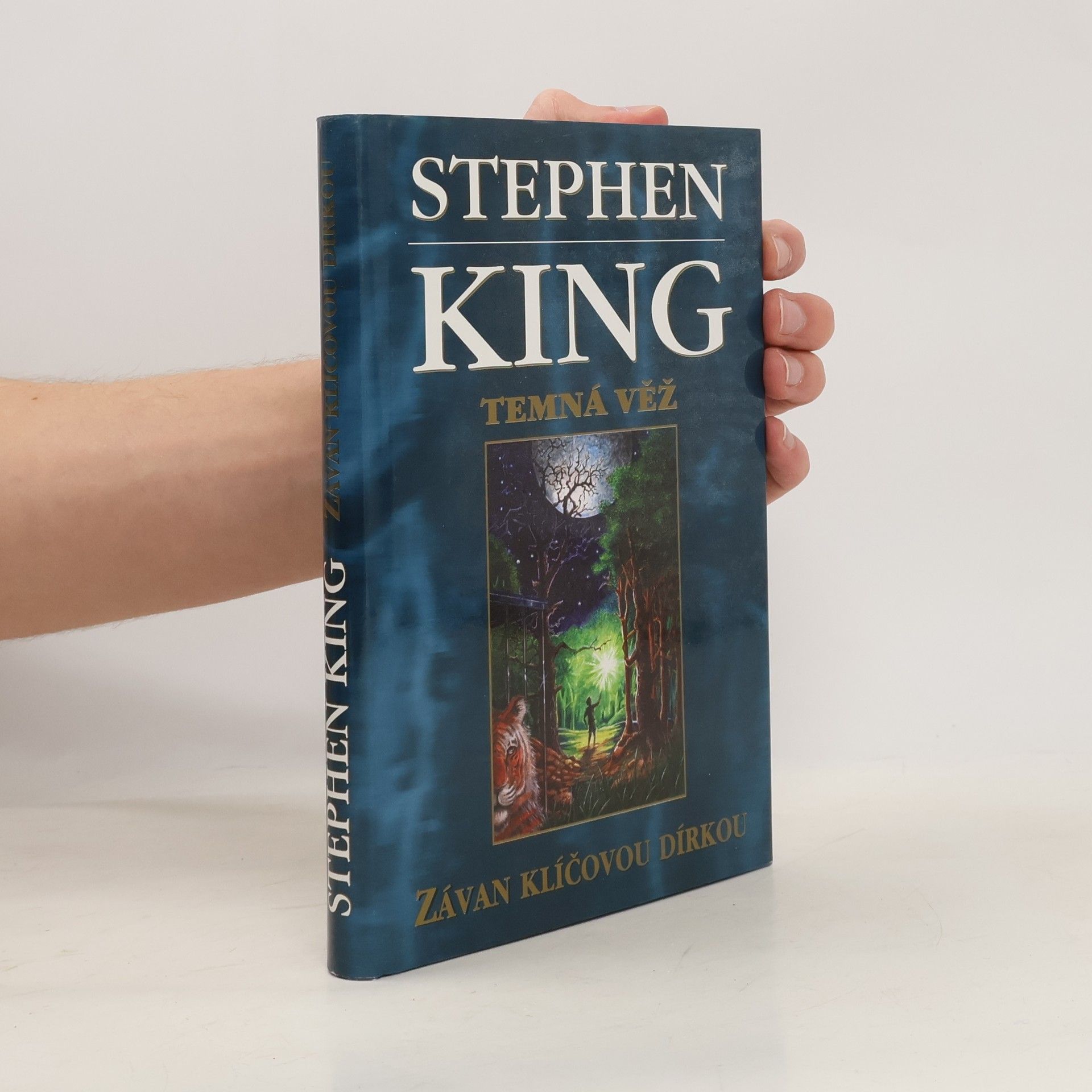Stephen King Temná věž: Závan klíčovou dírkou