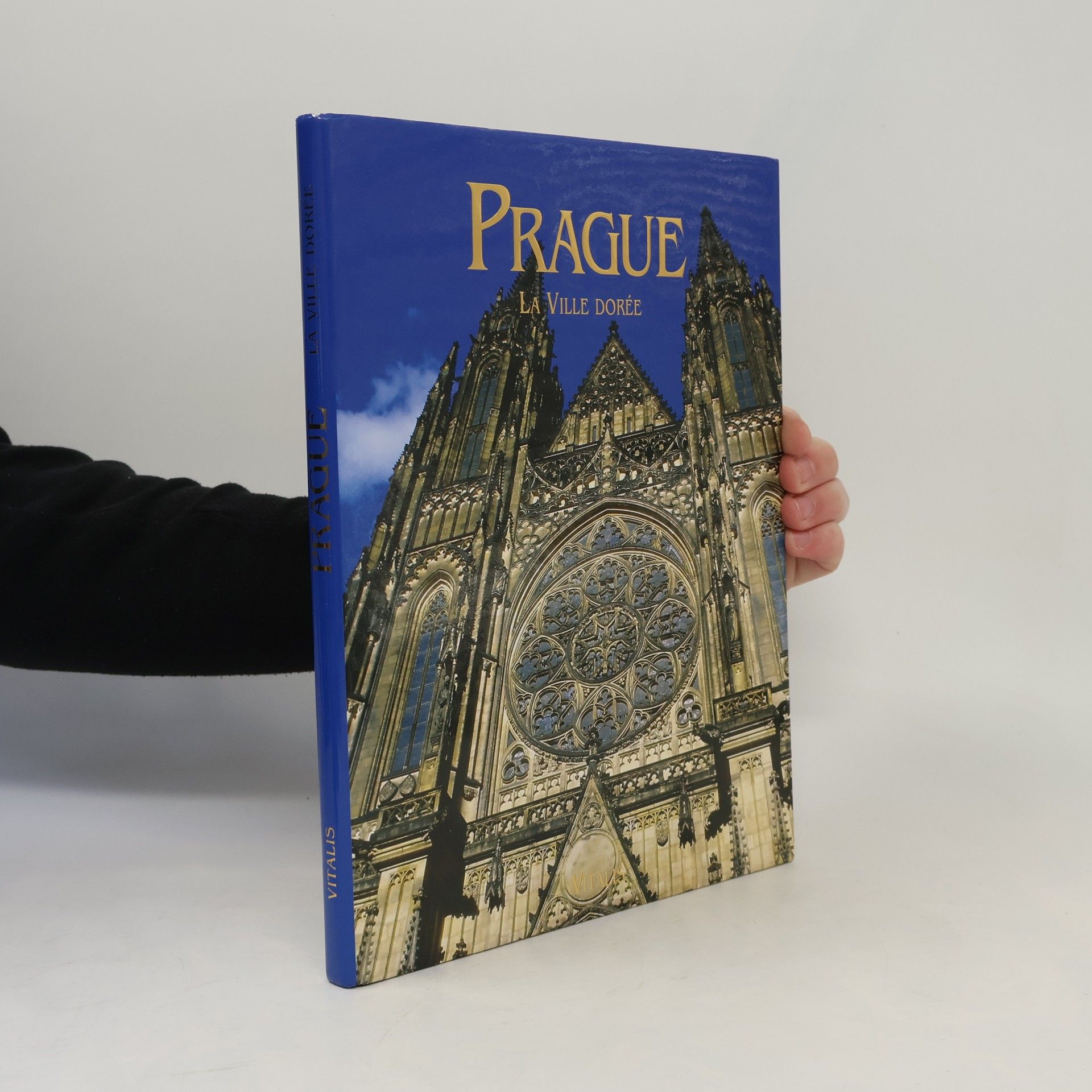 Harald Salfellner Prague. Ville dorée