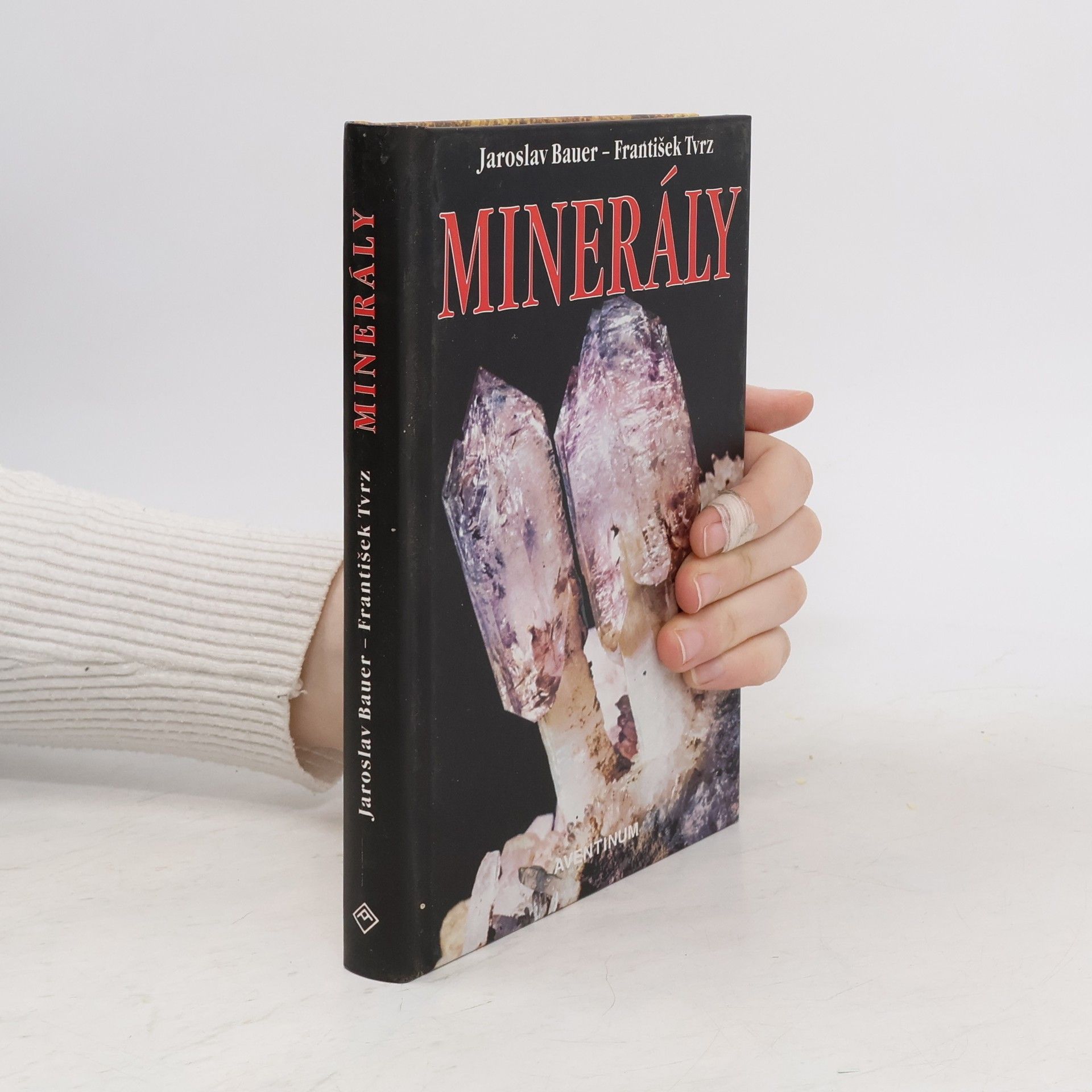 František Tvrz Minerály