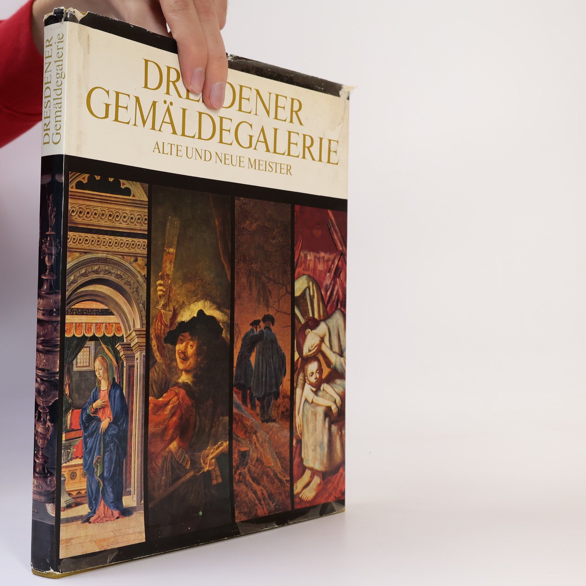 Auteurscollectief Dresdener Gemäldegalerie alte und neue Meister