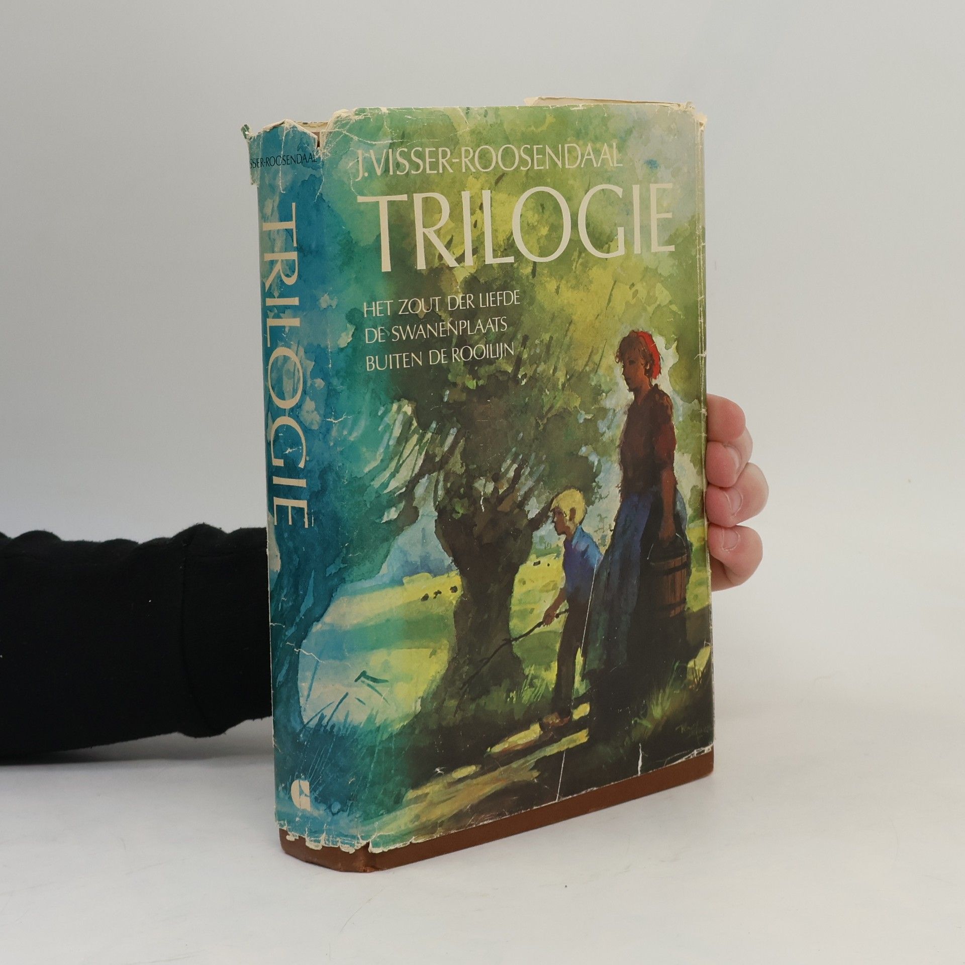 Het zout der liefde. De Swanenplaats. Buiten de rooilijn