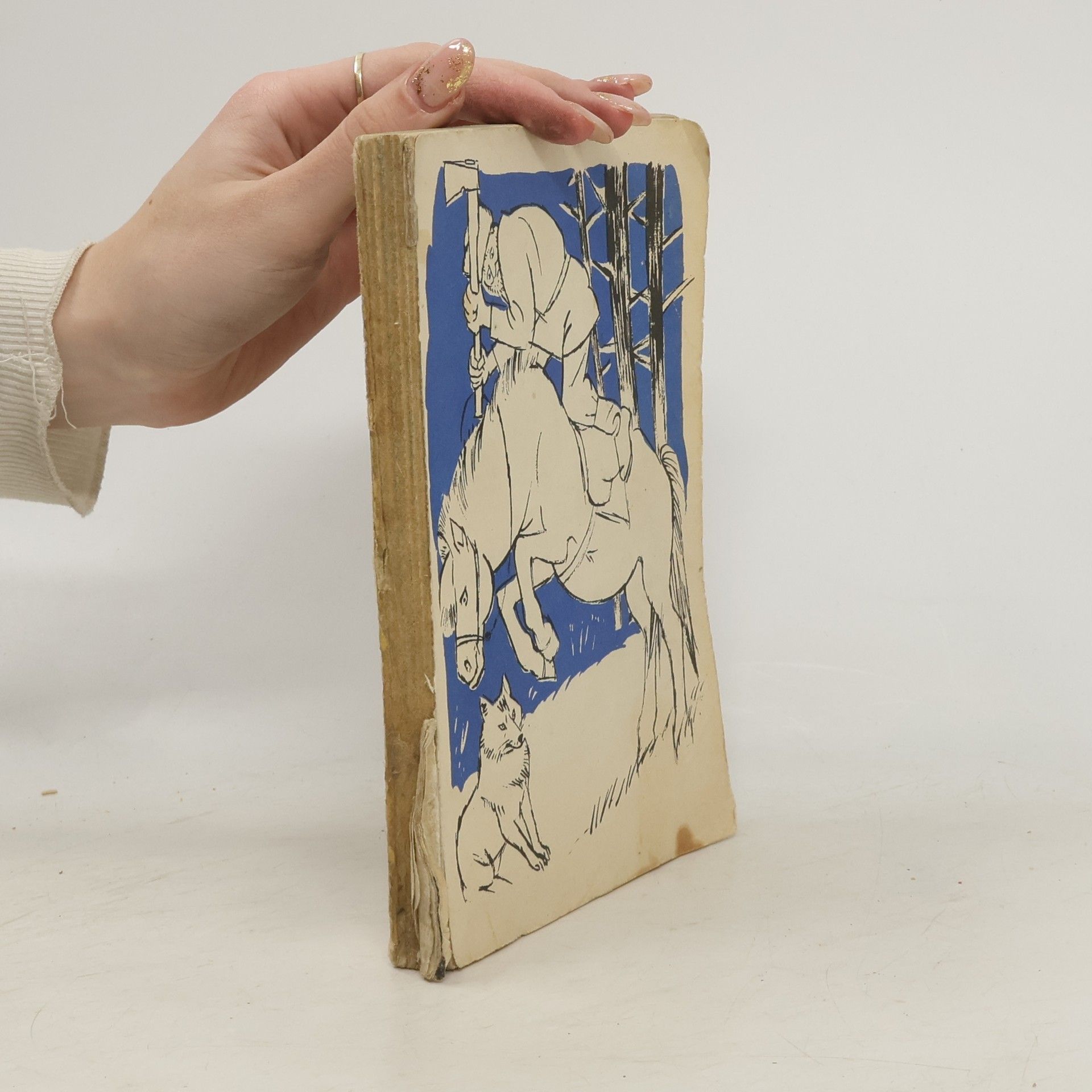 Michal Štemr Bojový úkol zugsführera Joachima Mergarta