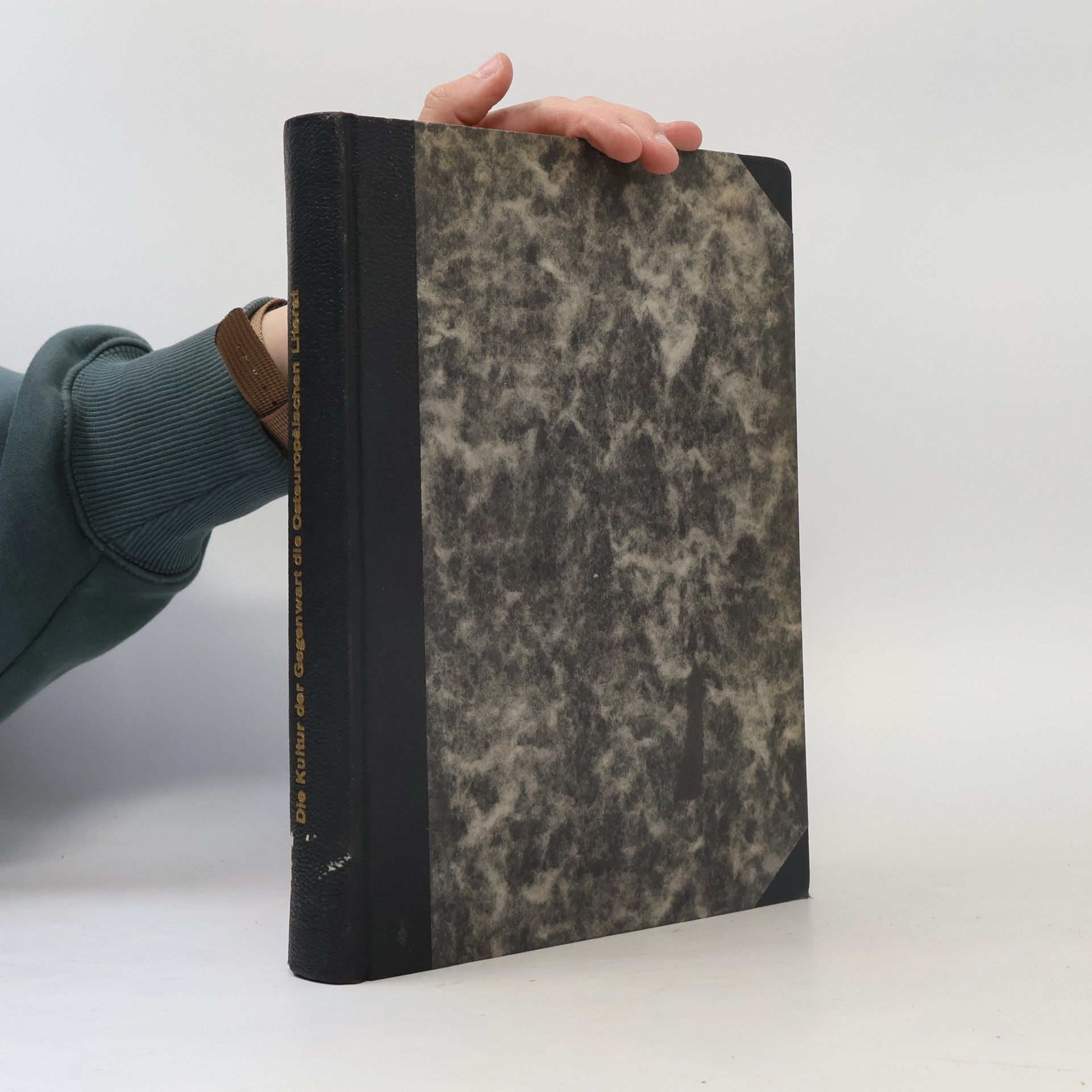 Kolektiv autorů Die Osteuropäischen Literaturen und die Slawischen Sprachen