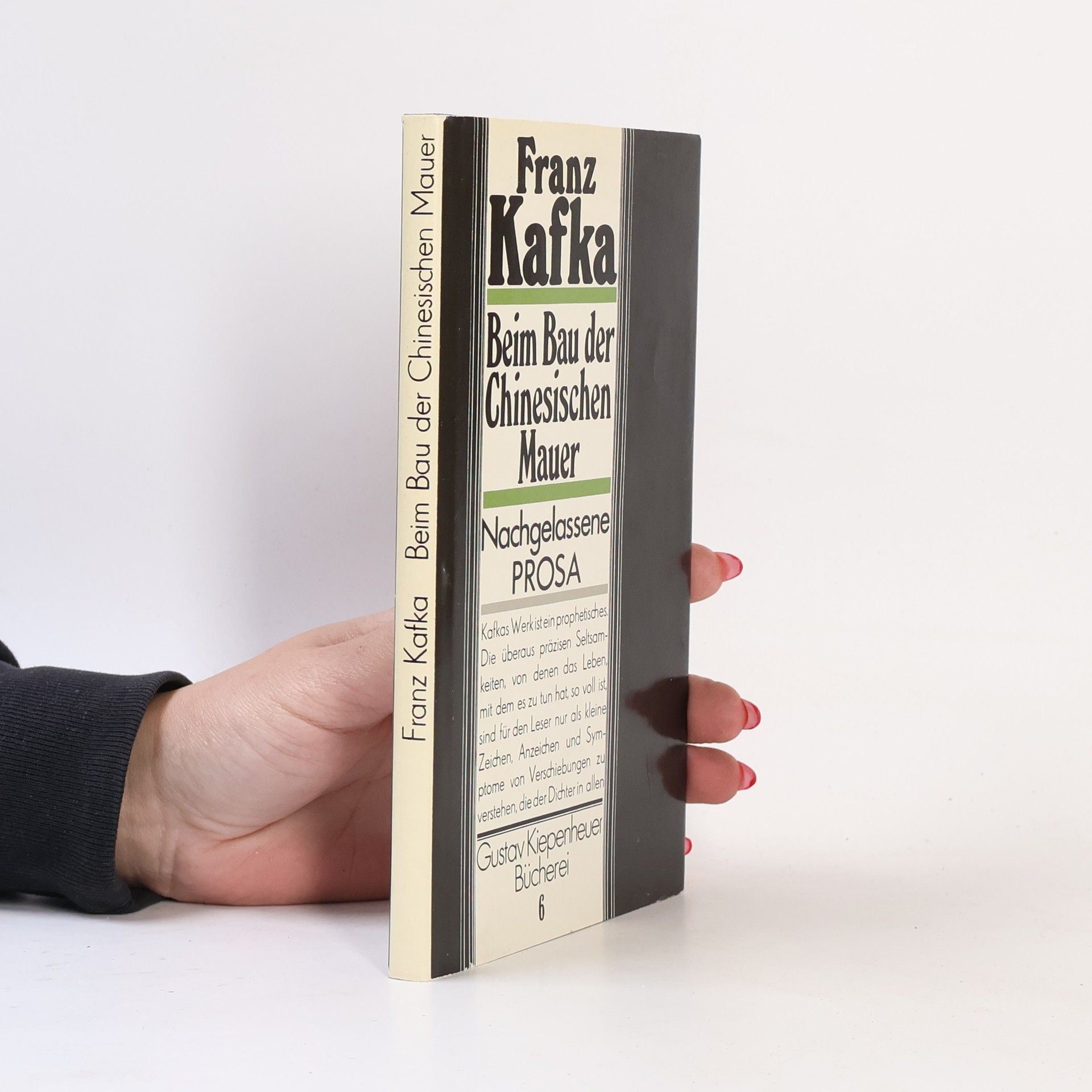 Franz Kafka Beim bau der Chinesischen Mauer