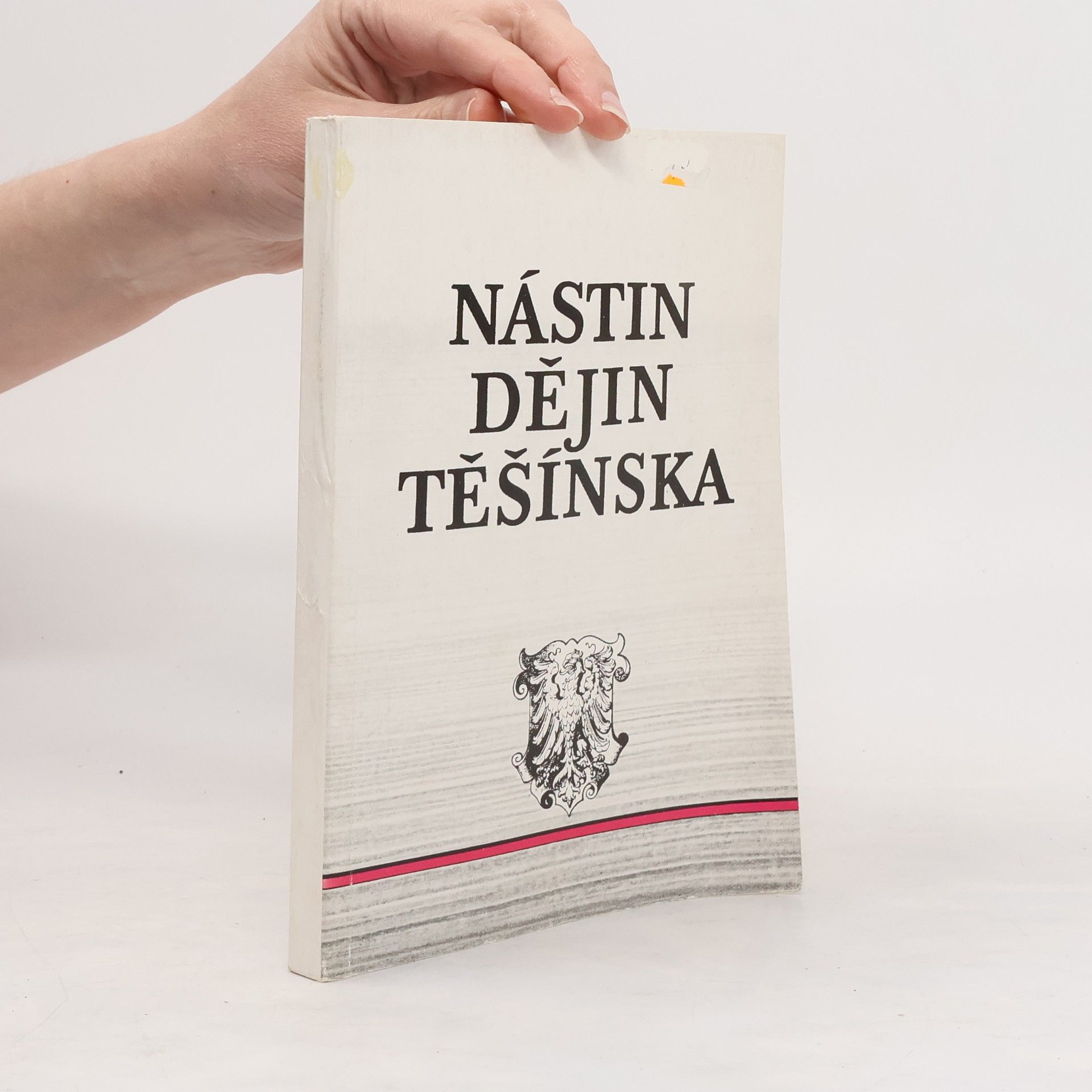 Kolektiv autorů Nástin dějin Těšínska