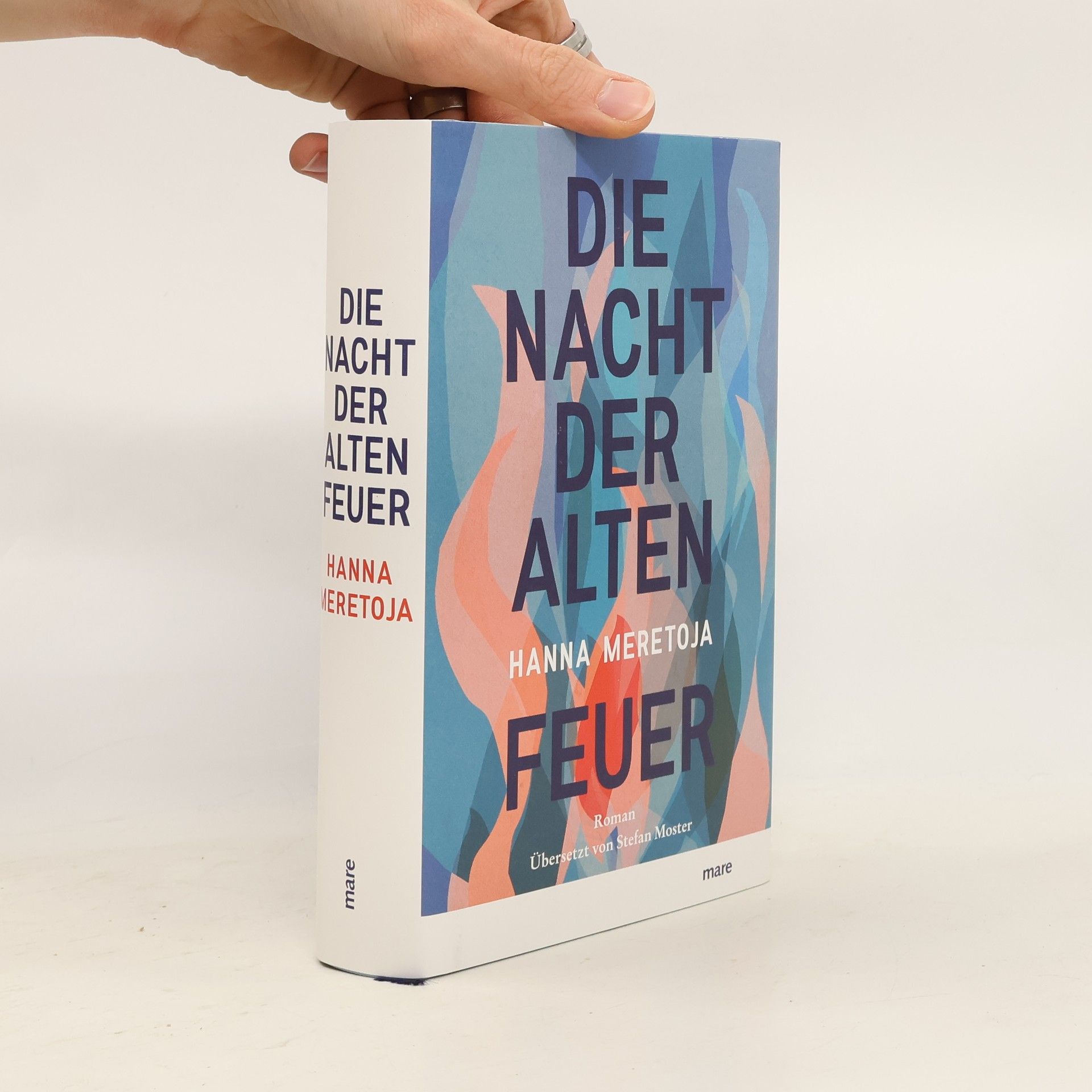 Hanna Meretoja Die Nacht der alten Feuer