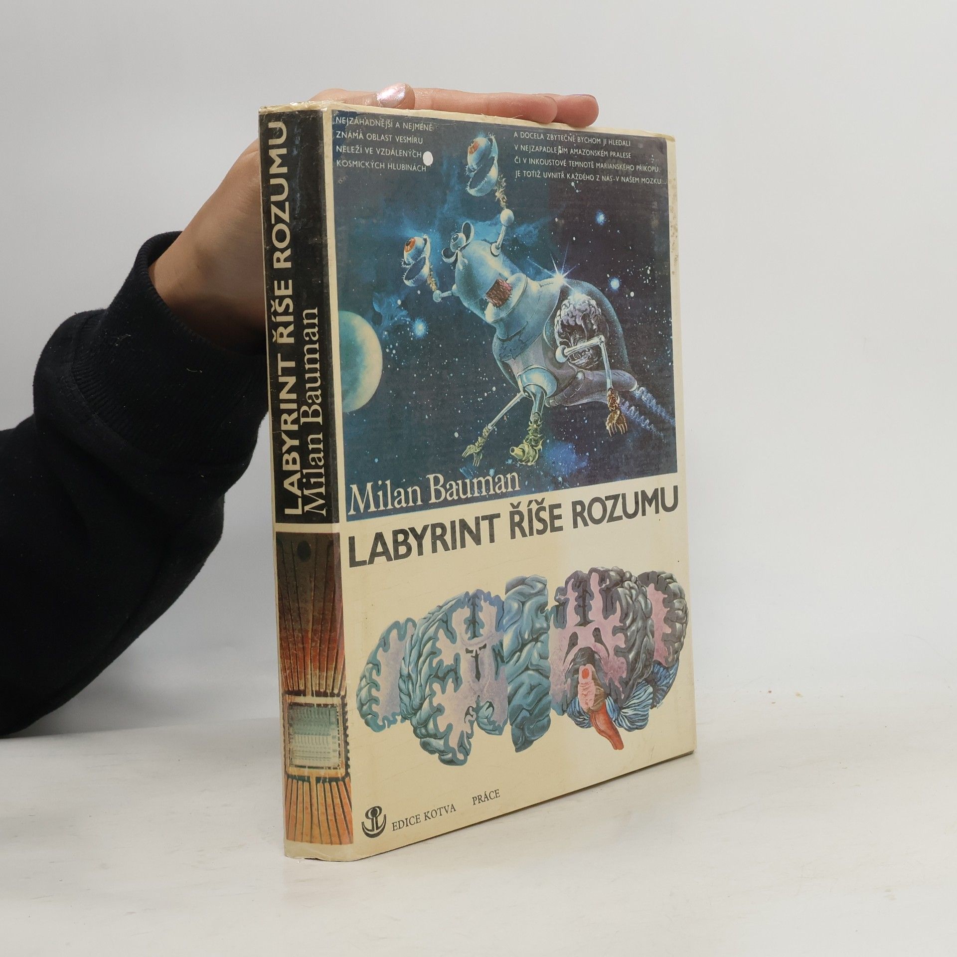 Milan Bauman Labyrint říše rozumu