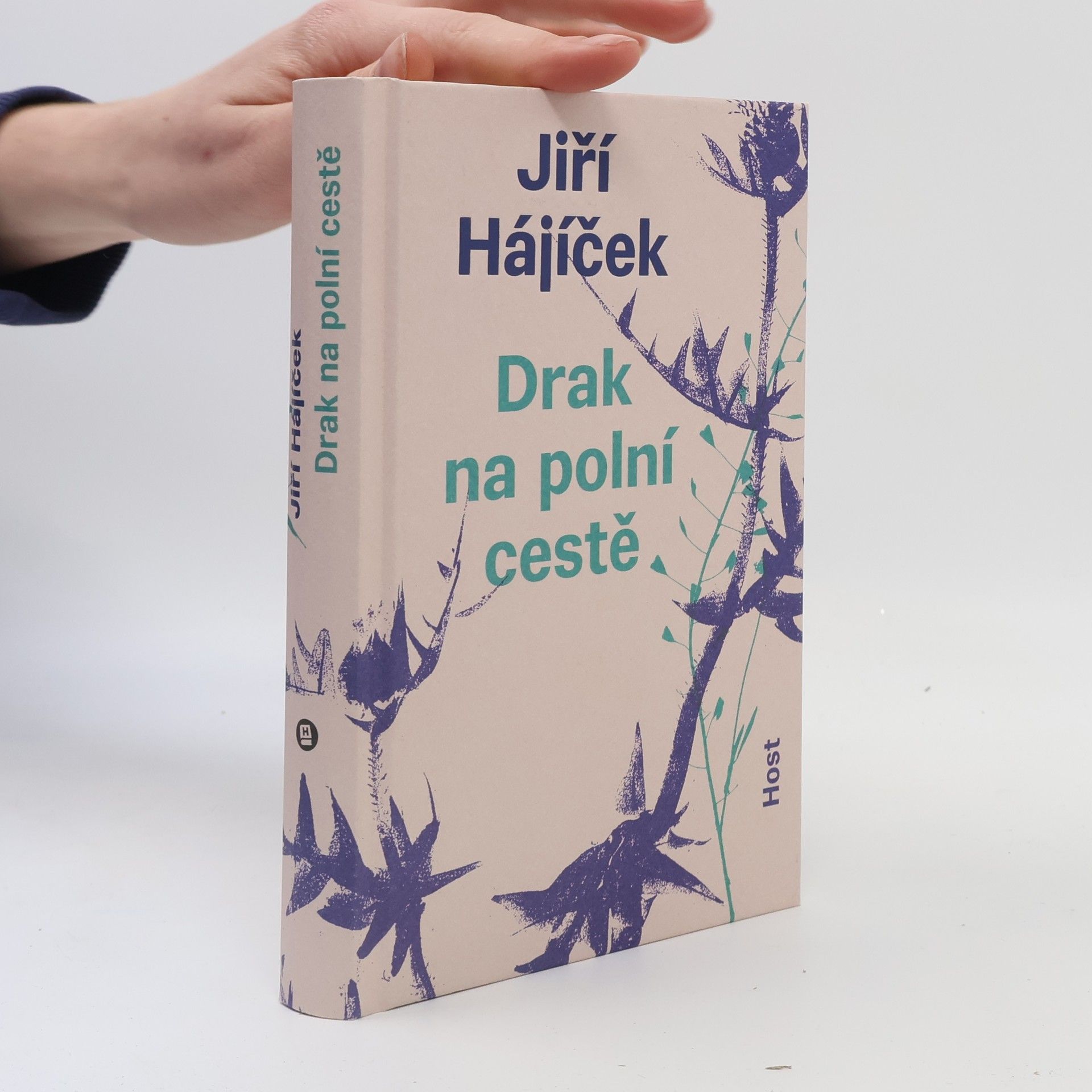 Jiří Hájíček Drak na polní cestě